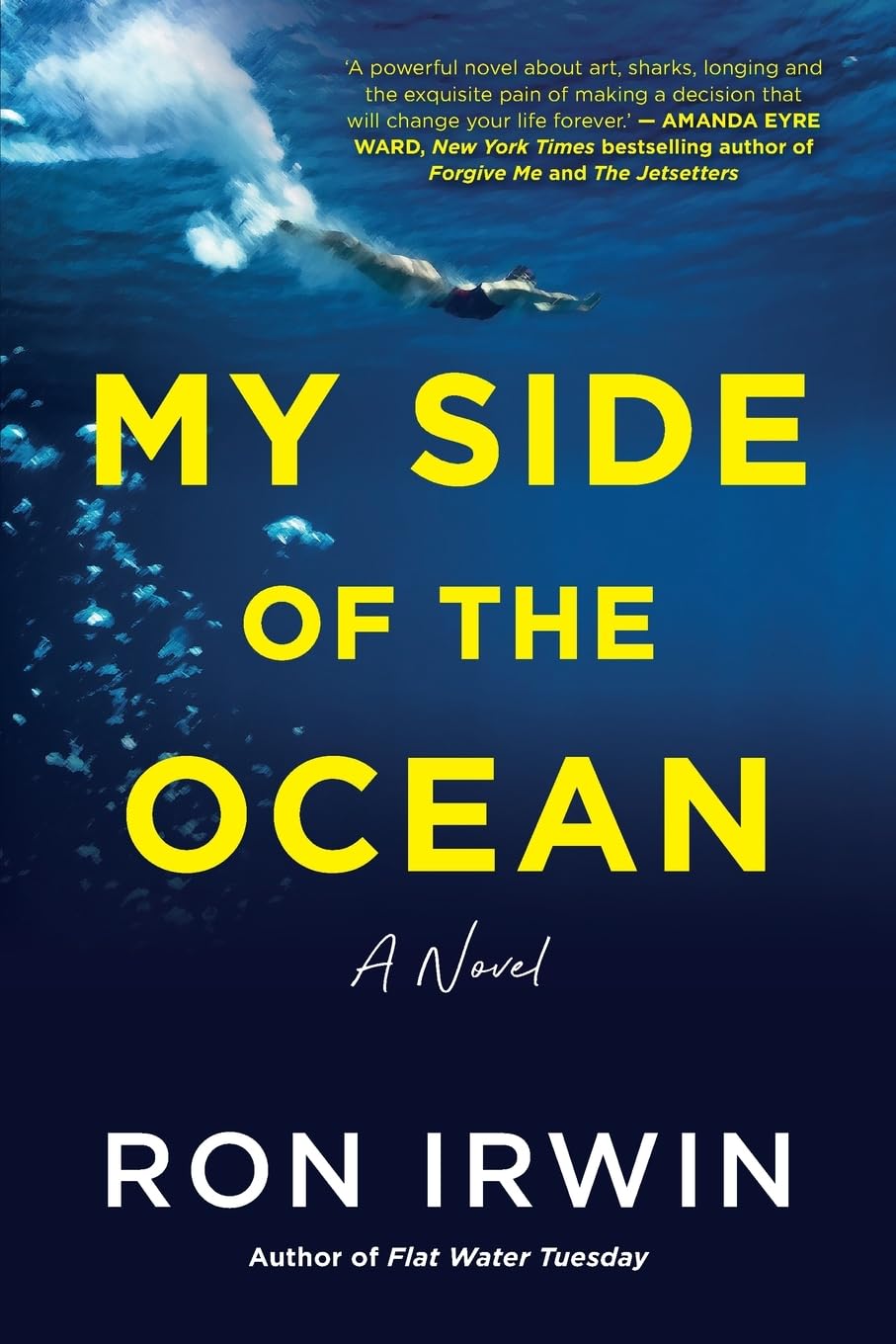 My Side of the Ocean: A Novel Contemporary literature