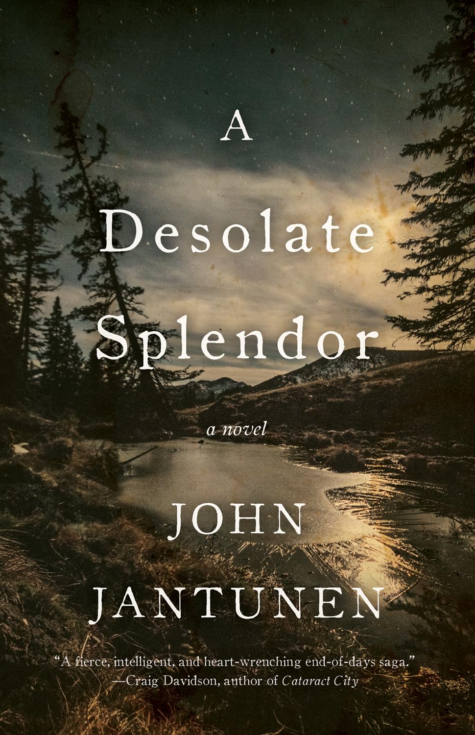 A Desolate Splendor Contemporary literature