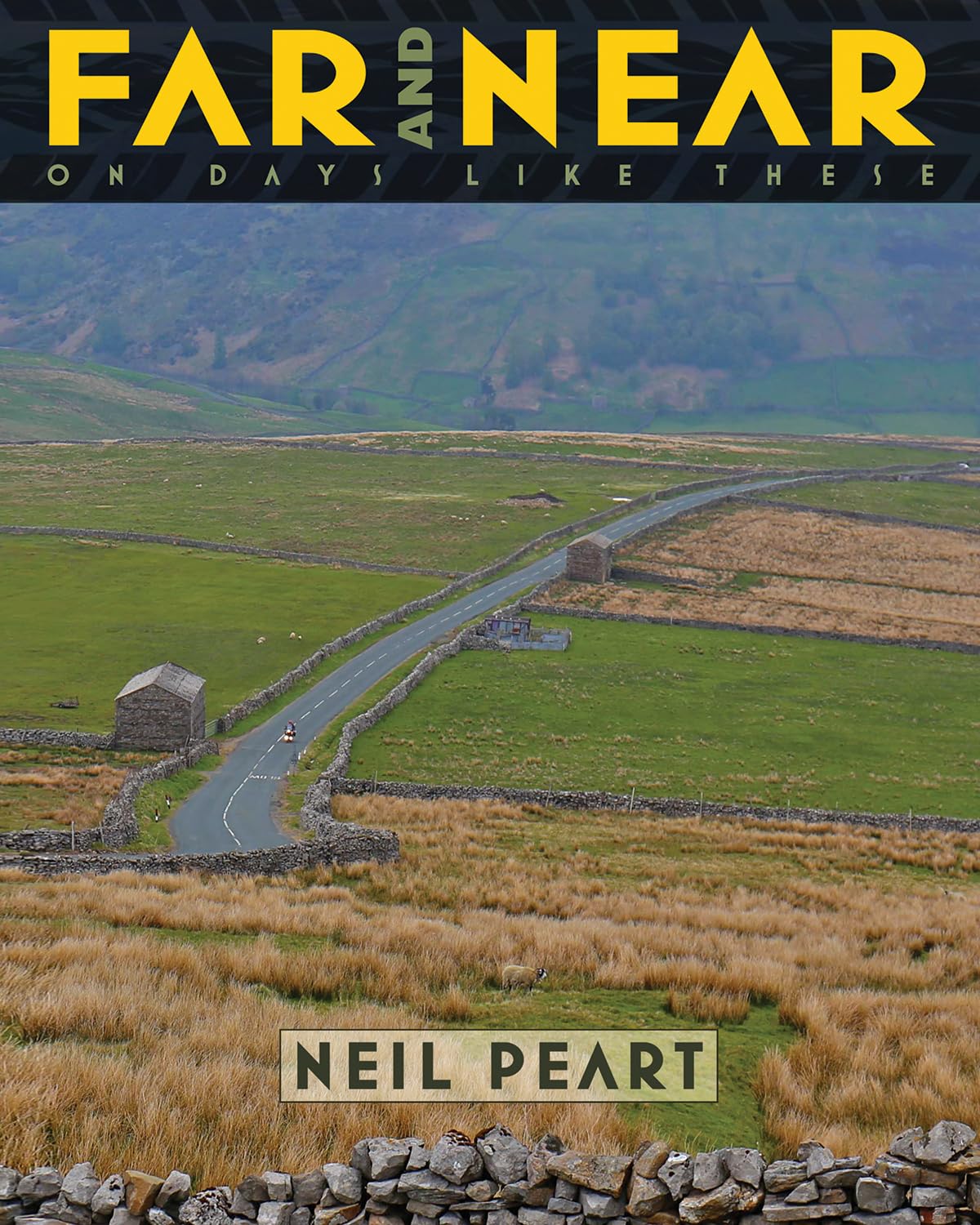 Far and Near: On Days Like These book