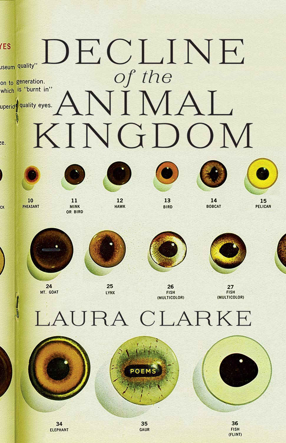 Decline of the Animal Kingdom Poetry