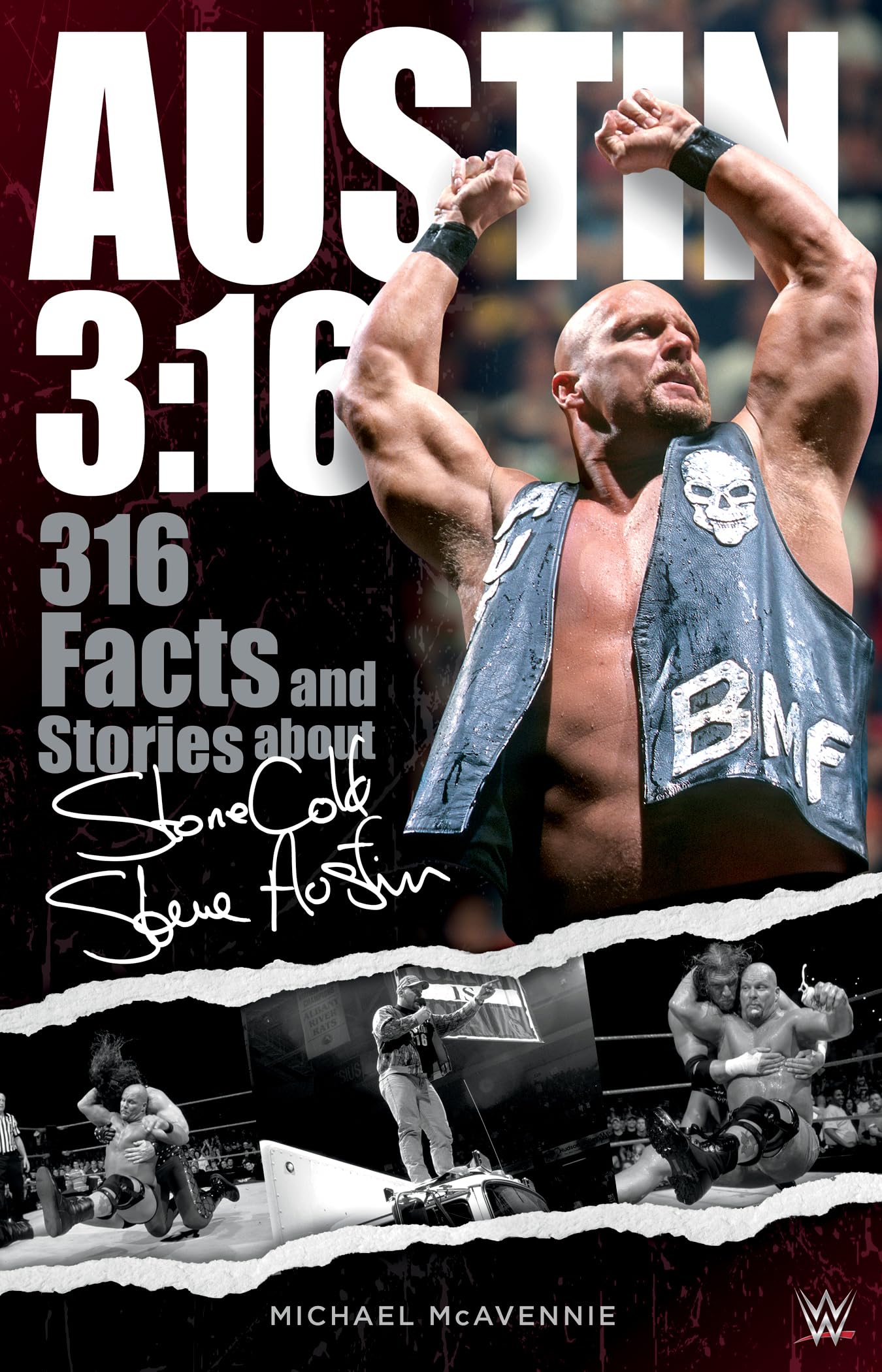 Austin 3:16: 316 Facts & Stories About Stone Cold Steve Austin book