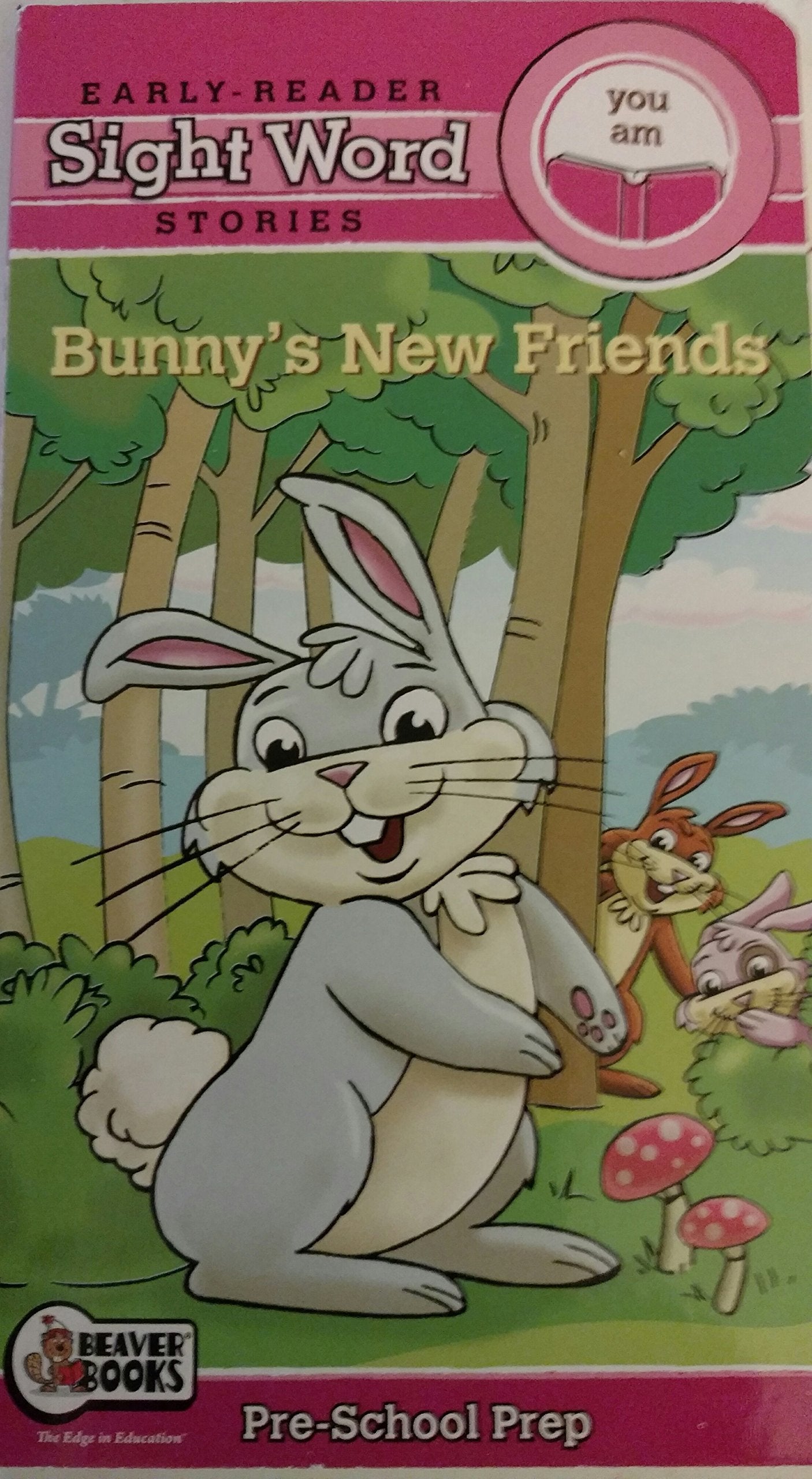 Bunny's New Friends Early Reader Sightword Stories You& Am book