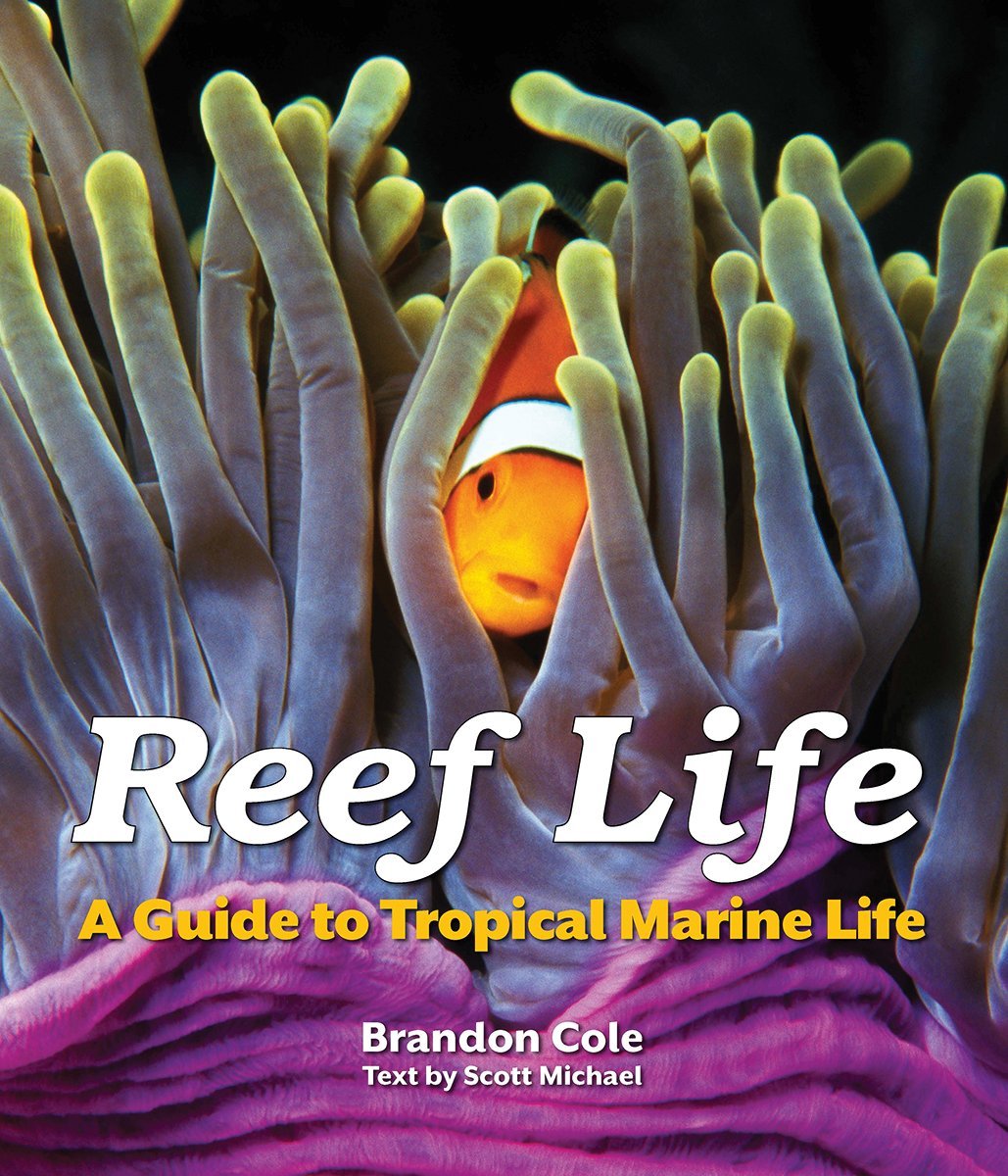 Reef Life: A Guide to Tropical Marine Life book
