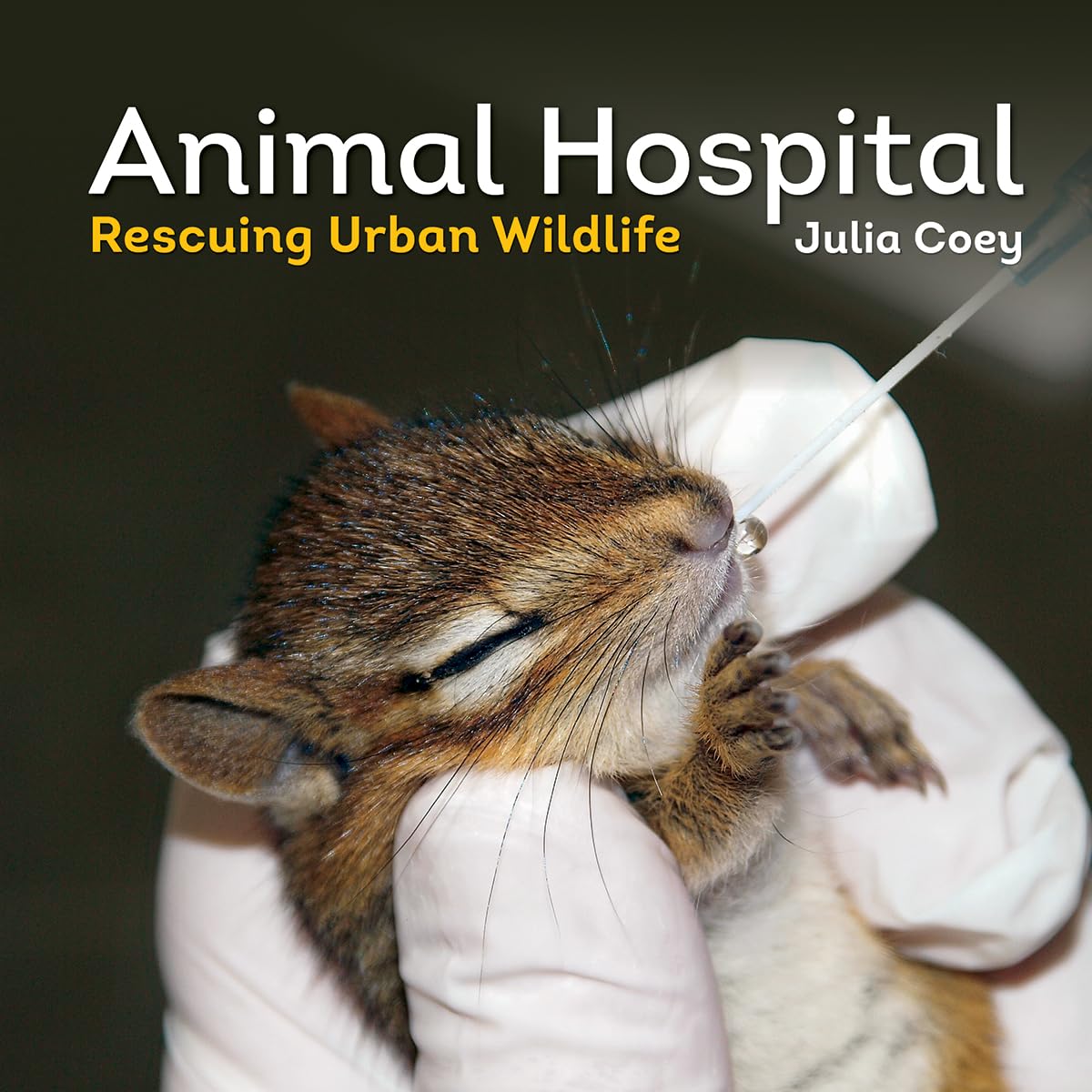 Animal Hospital: Rescuing Urban Wildlife book