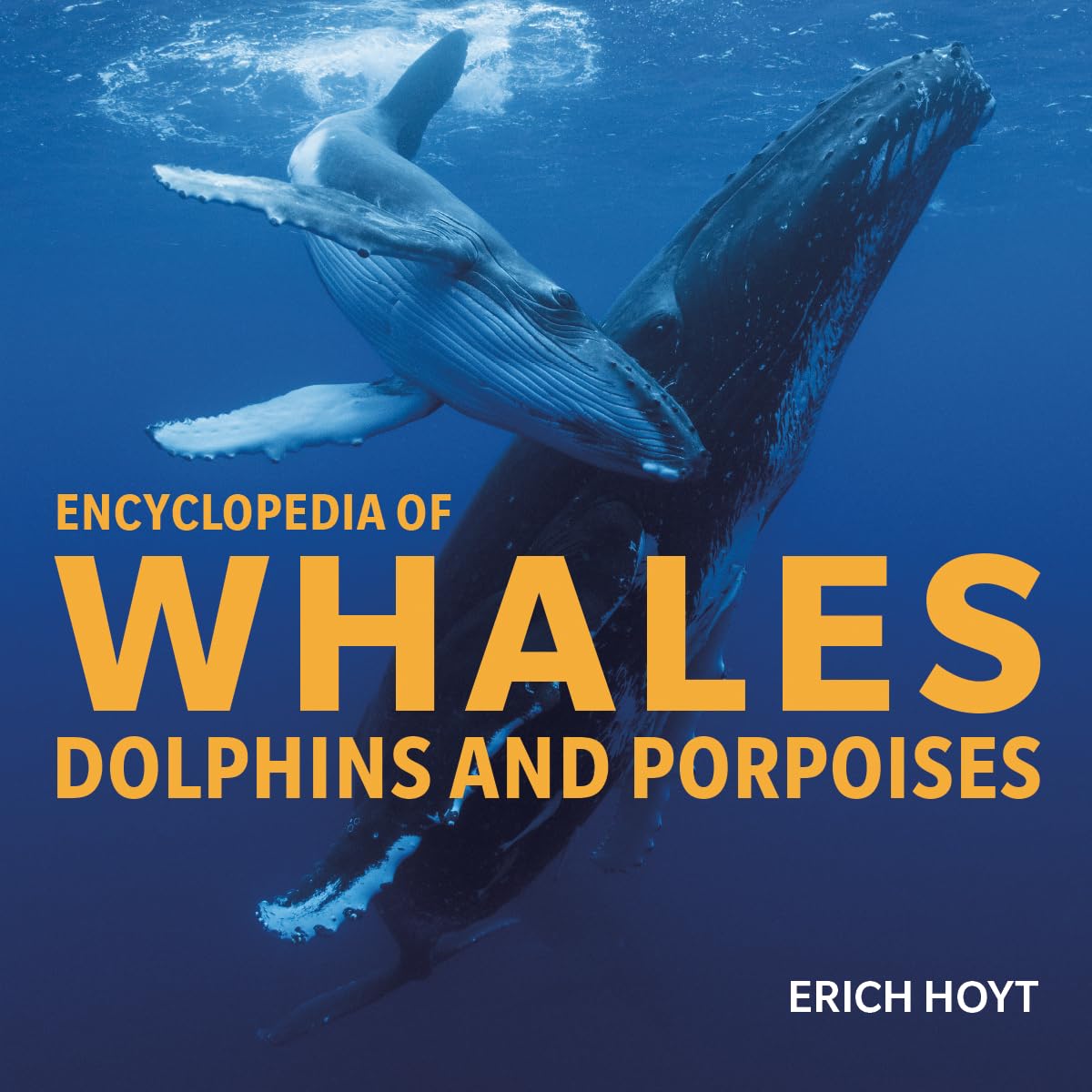 Encyclopedia of Whales, Dolphins and Porpoises Mathematics