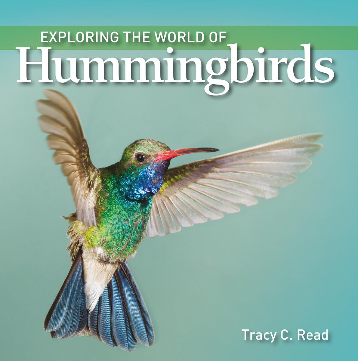 Exploring the World of Hummingbirds Non-fiction