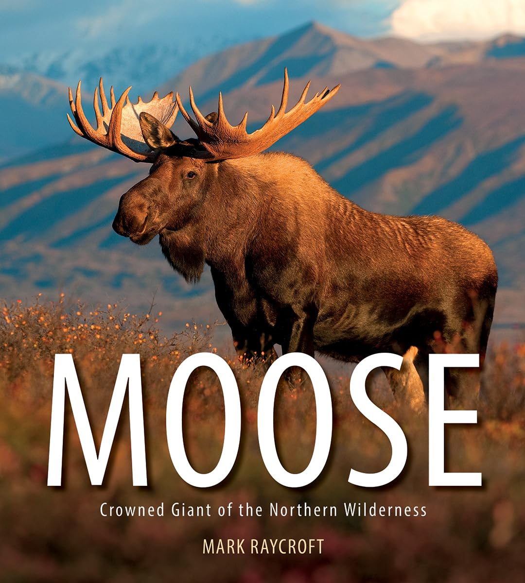 Moose: Crowned Giant of the Northern Wilderness book