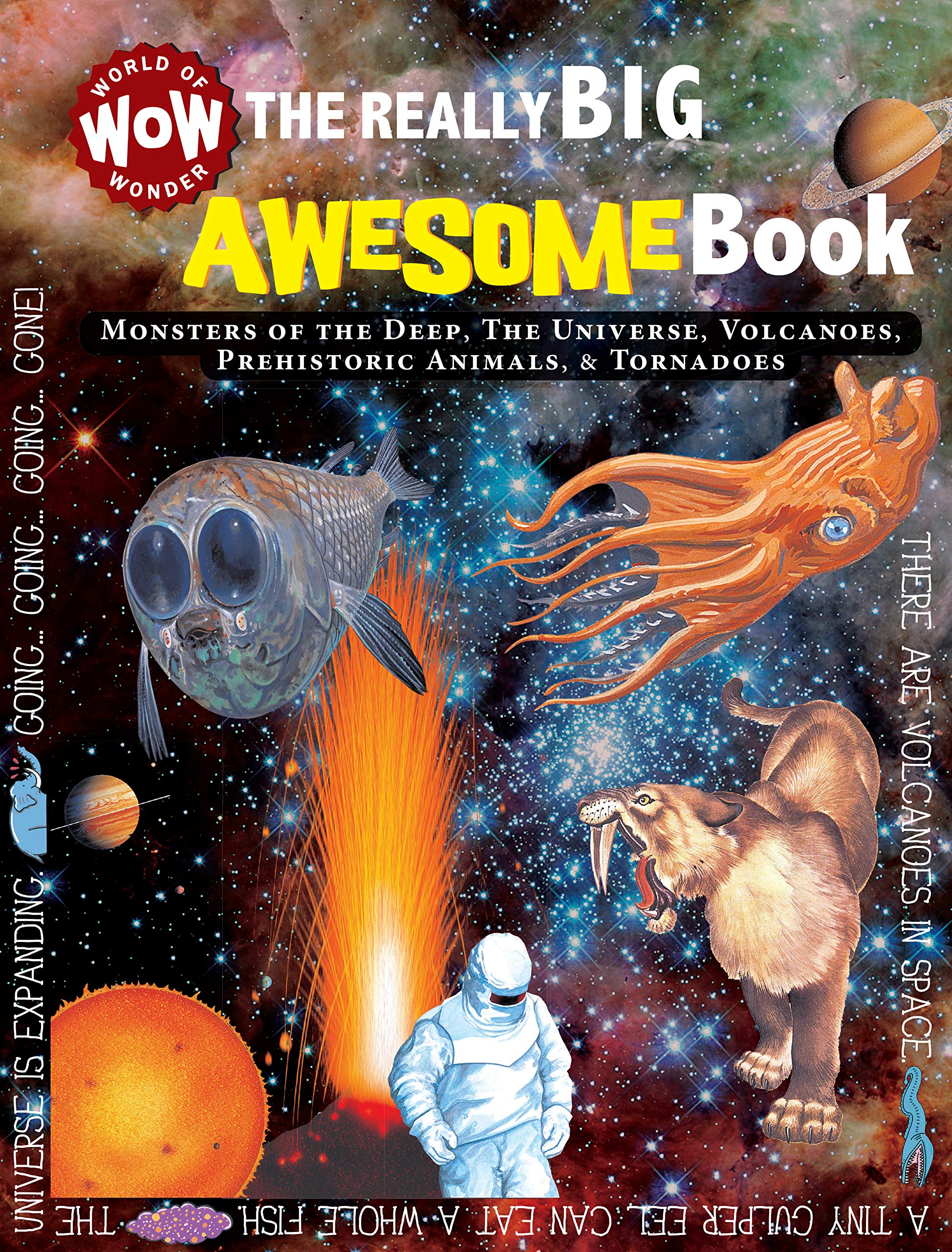 The Really Big Awesome Book: Monsters of the Deep, the Universe, Volcanoes, Prehistoric Animals, & Tornadoes book