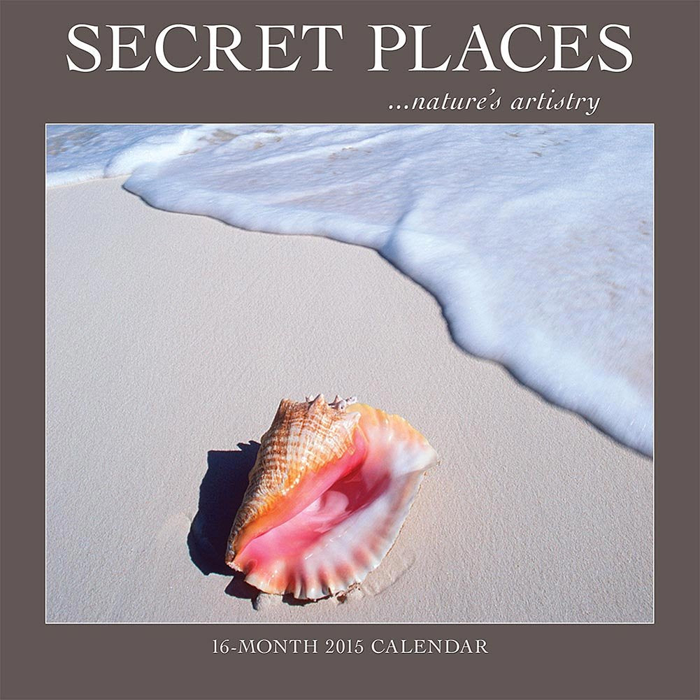Secret Places 2015 Calendar book