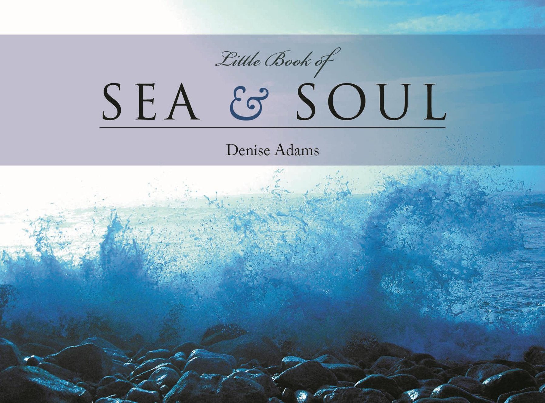 The Little Book of Sea & Soul book