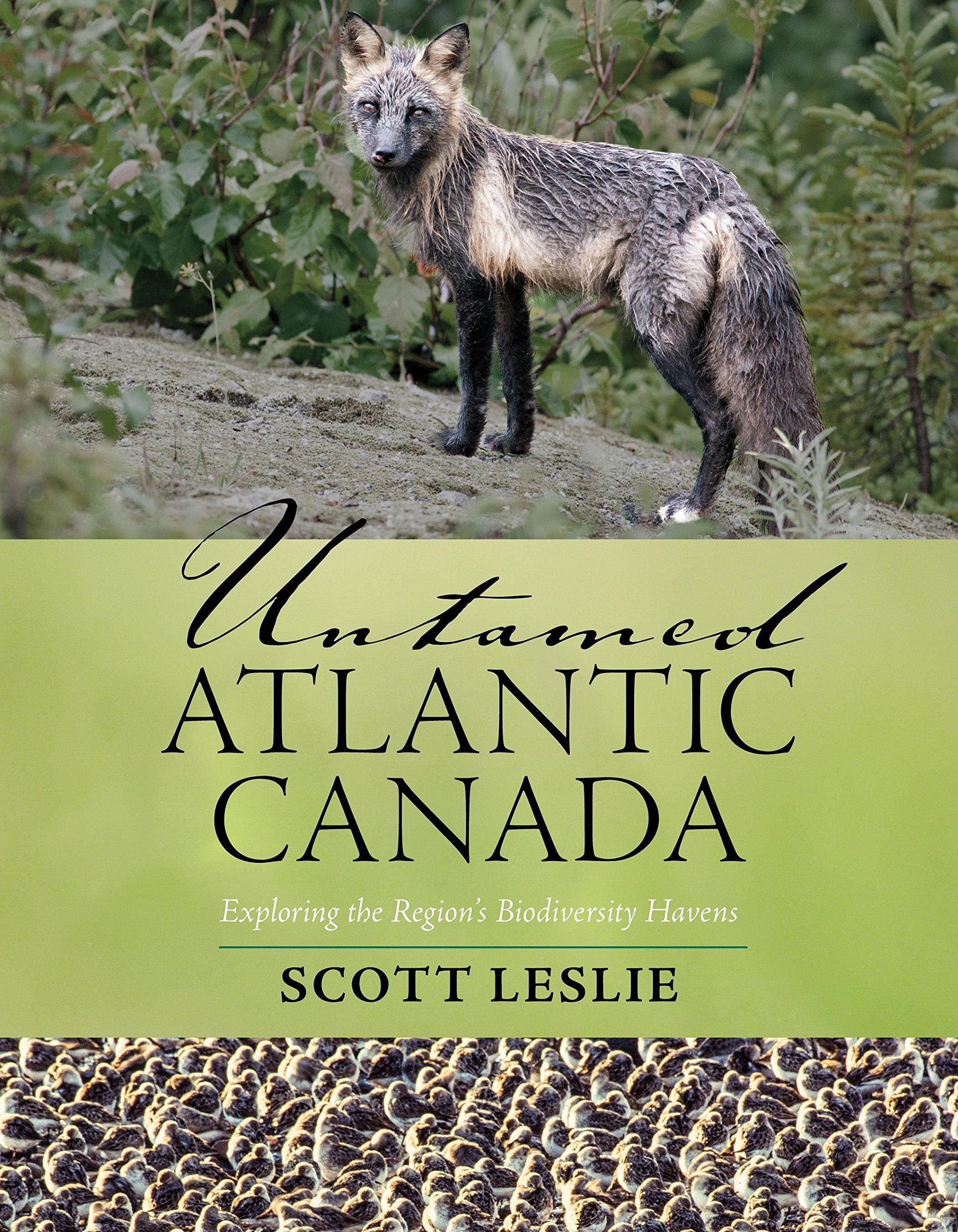 Untamed Atlantic Canada: Exploring the Region's Biodiversity Havens book