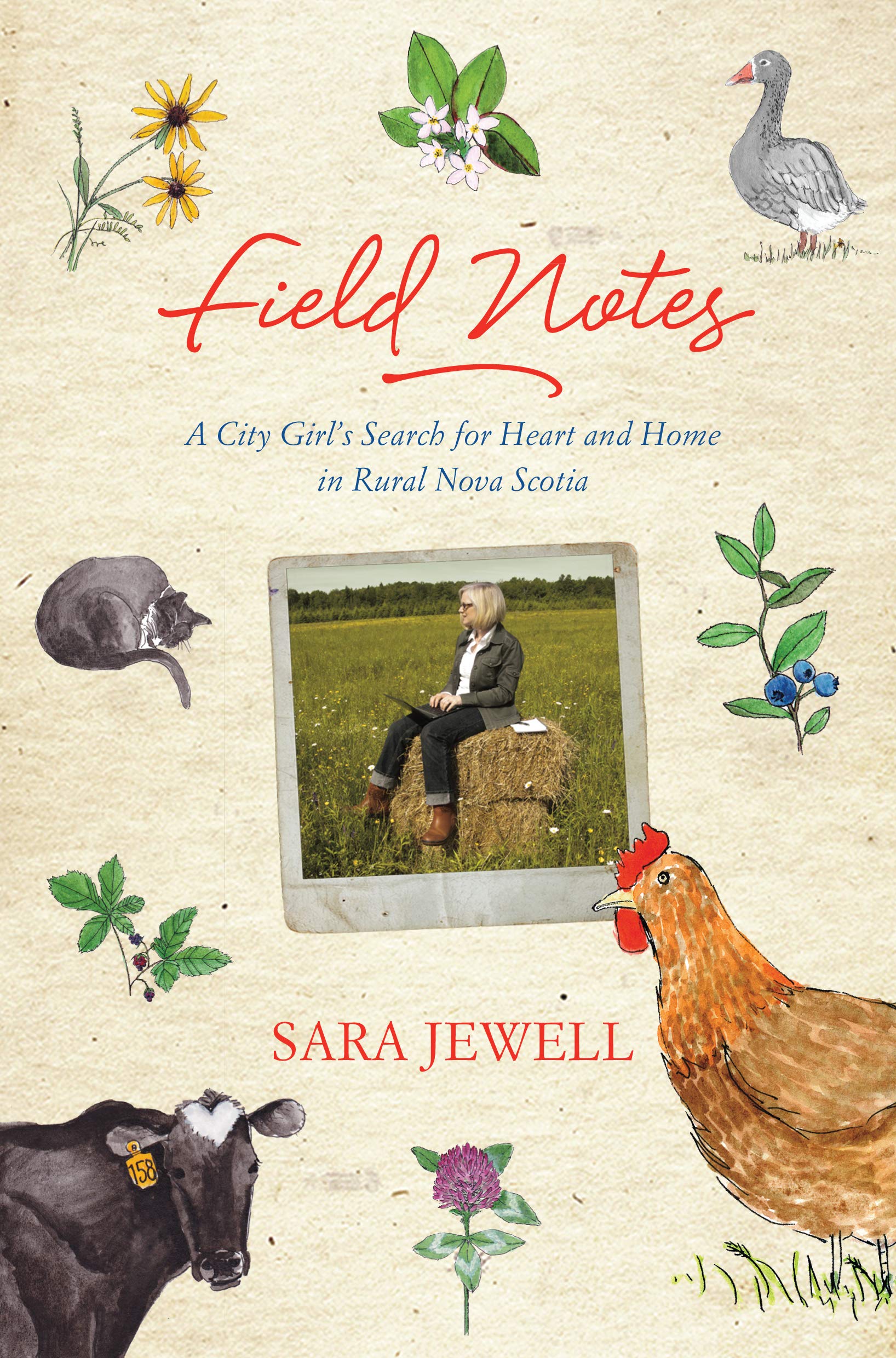 Field Notes: A City Girl's Search for Heart and Home in Rural Nova Scotia Inspiring women