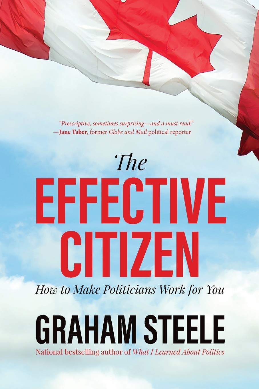 The Effective Citizen: How to Make Politics Work for You book