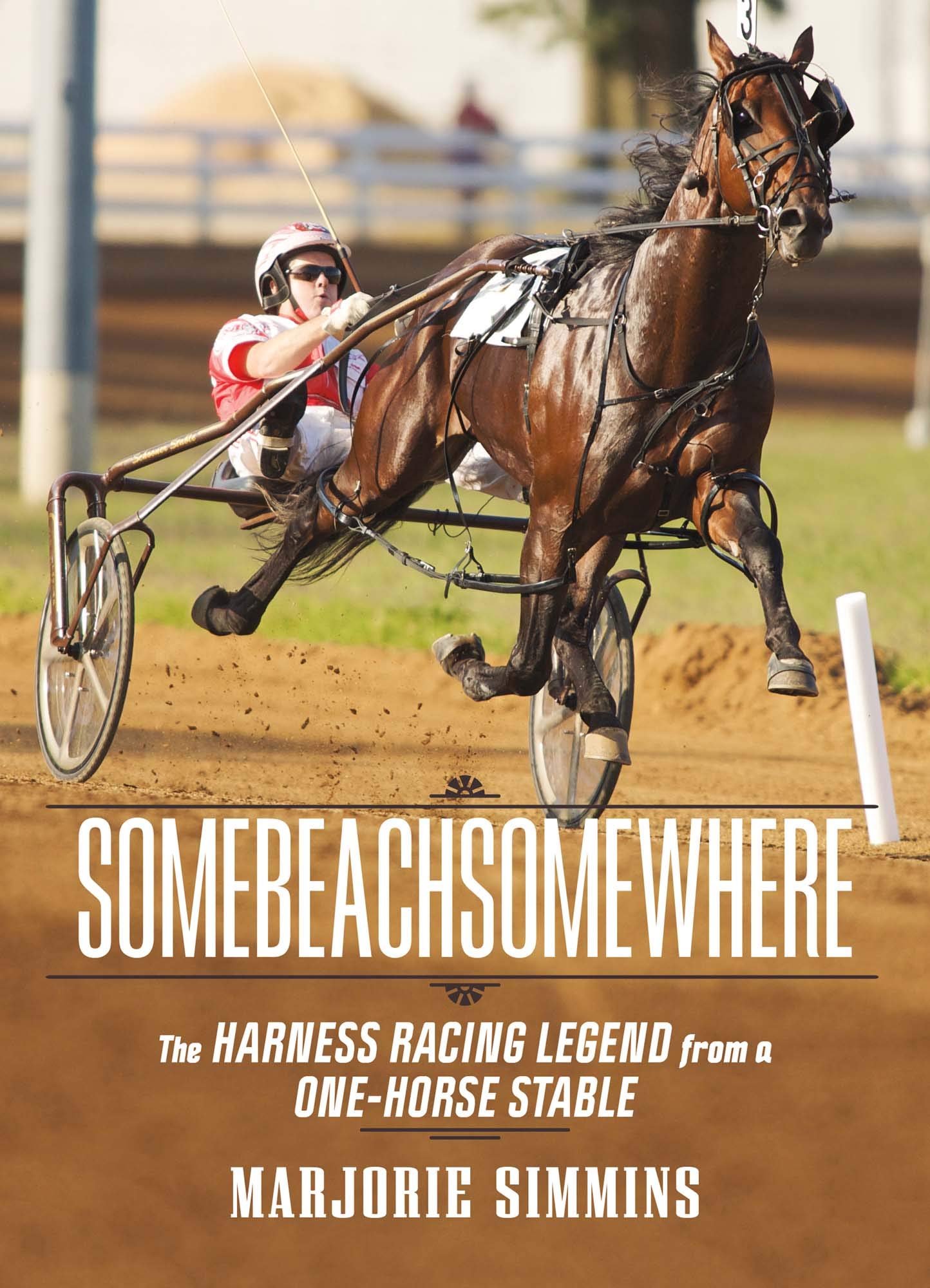 Somebeachsomewhere: A Harness Racing Legend from a One-Horse Stable book