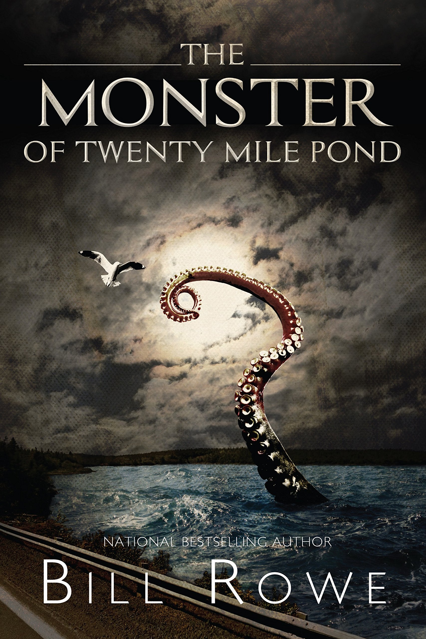 The Monster of Twenty Mile Pond book