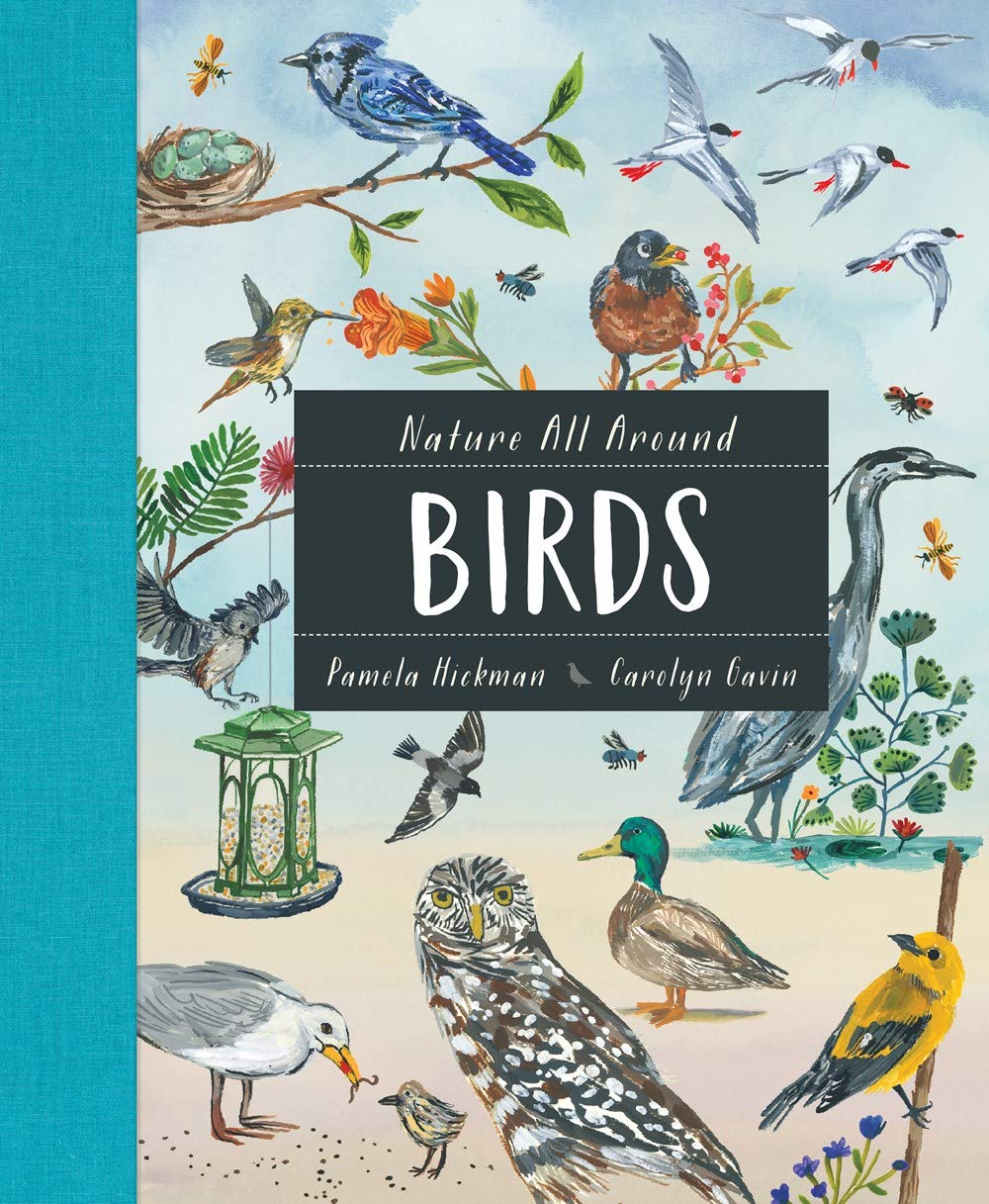 Nature All Around: Birds Non-fiction