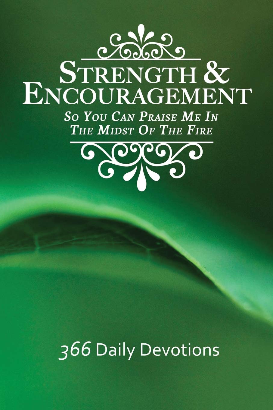 Strength & Encouragement: So You Can Praise Me in the Midst of the Fire 366 Daily Devotions book