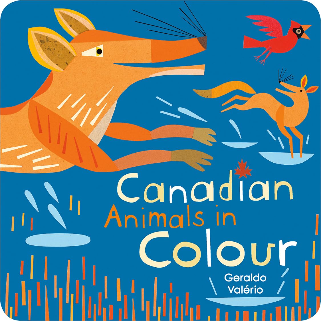 Canadian Animals in Colour (Canadian Concepts) Parents & Children