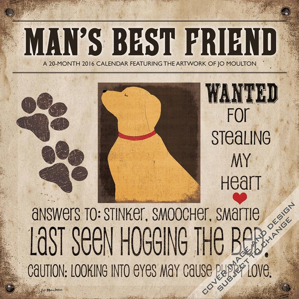 Man's Best Friend 2016 Calendar Books