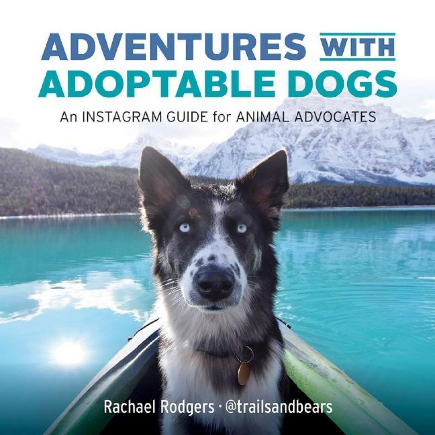 Adventures with Adoptable Dogs: An Instagram Guide for Animal Advocates Business, Finance & Career