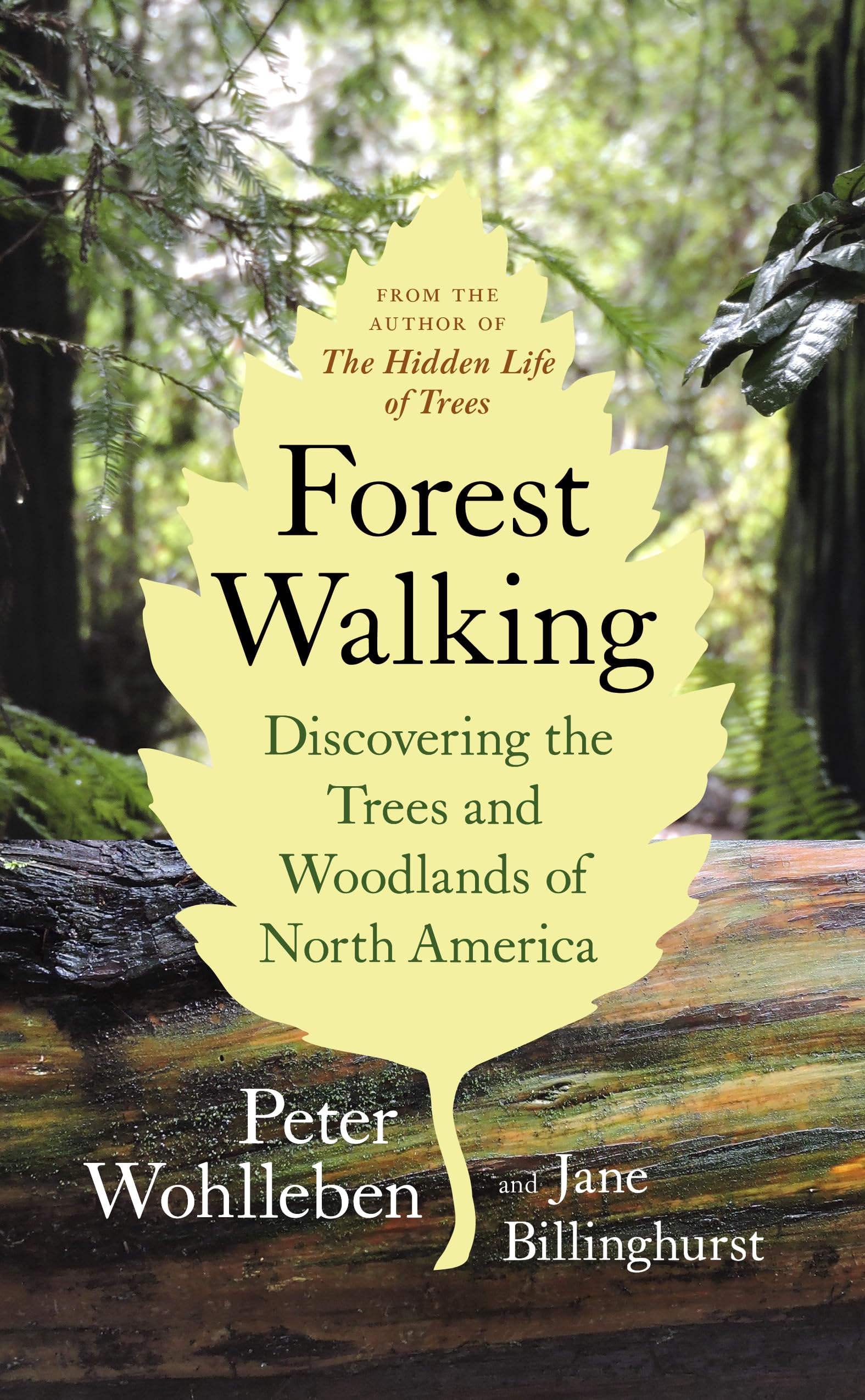 Forest Walking: Discovering the Trees and Woodlands of North America Geology & Geography