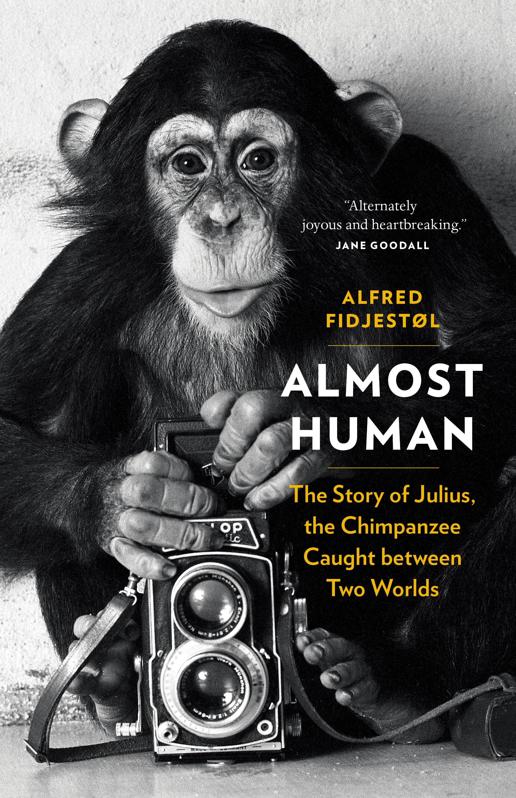 Almost Human: The Story of Julius, the Chimpanzee Caught between Two Worlds Biographies & Memoirs