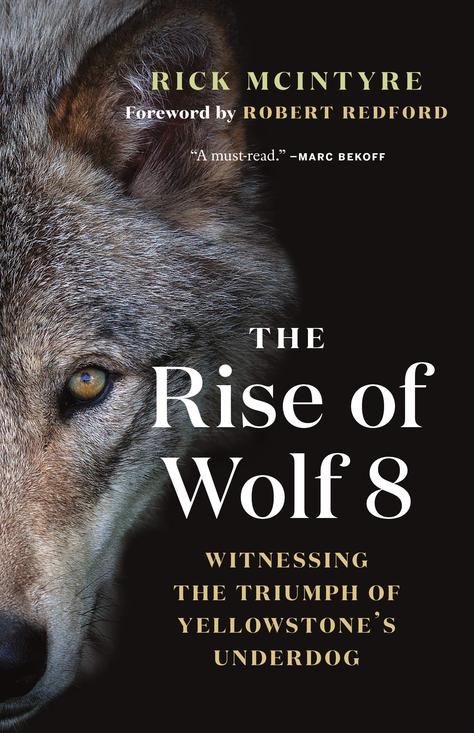 Rise of Wolf 8: Witnessing the Triumph of Yellowstone's Underdog (The Alpha Wolves of Yellowstone, 1) Pop culture Books