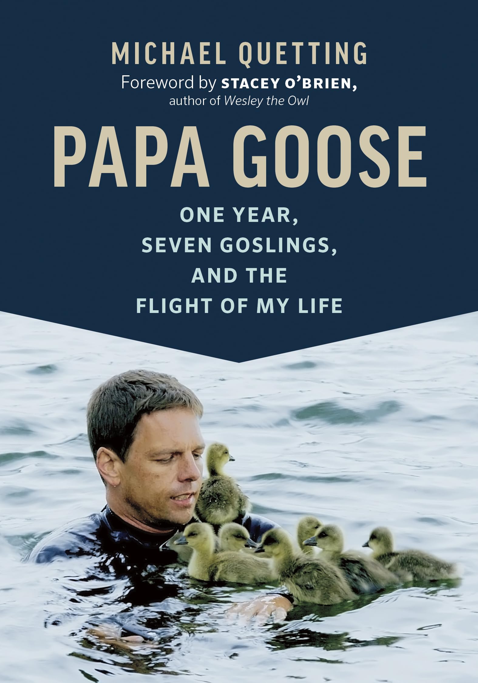 Papa Goose: One Year, Seven Goslings, and the Flight of My Life Essays & Short Stories