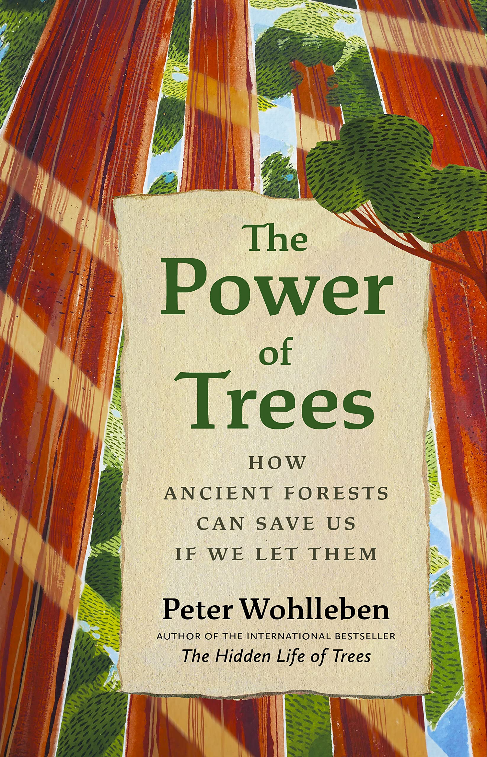 The Power of Trees: How Ancient Forests Can Save Us if We Let Them (From the Author of The Hidden Life of Trees) Geology & Geography