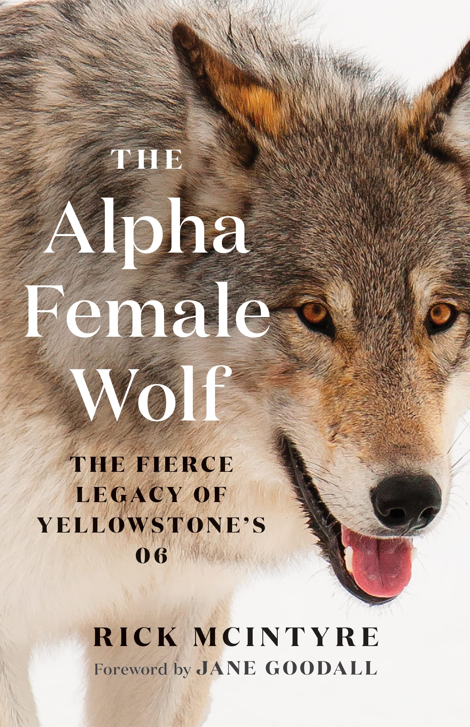 Product Image: The Alpha Female Wolf