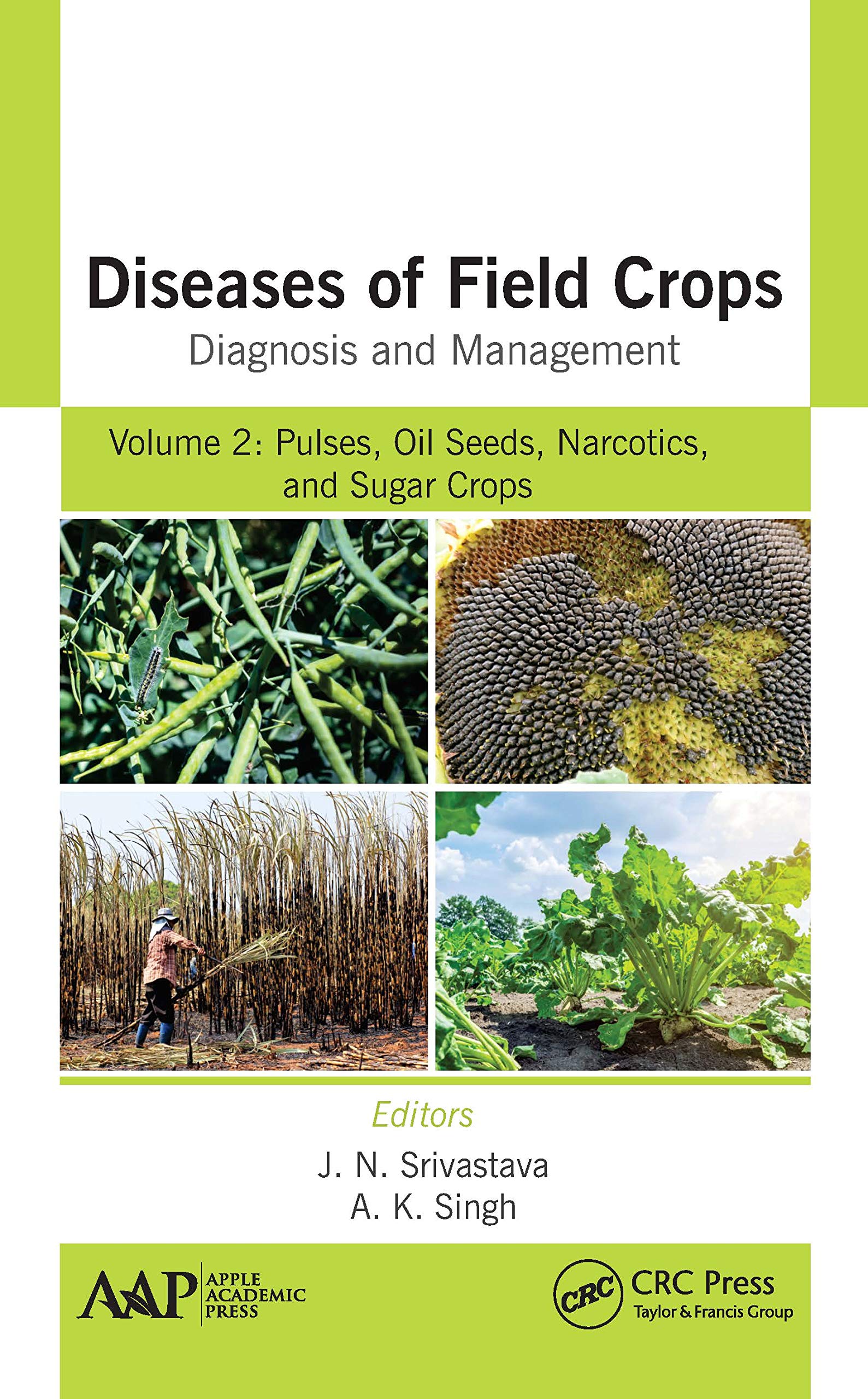 Diseases of Field Crops Diagnosis and Management Garden & Plants