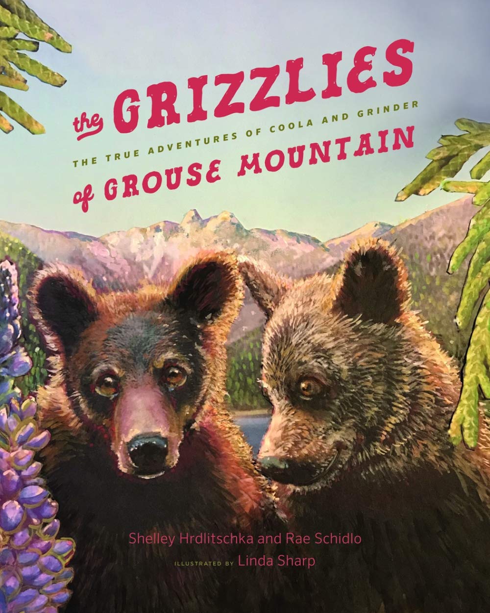 The Grizzlies of Grouse Mountain: The True Adventures of Coola and Grinder Non-fiction
