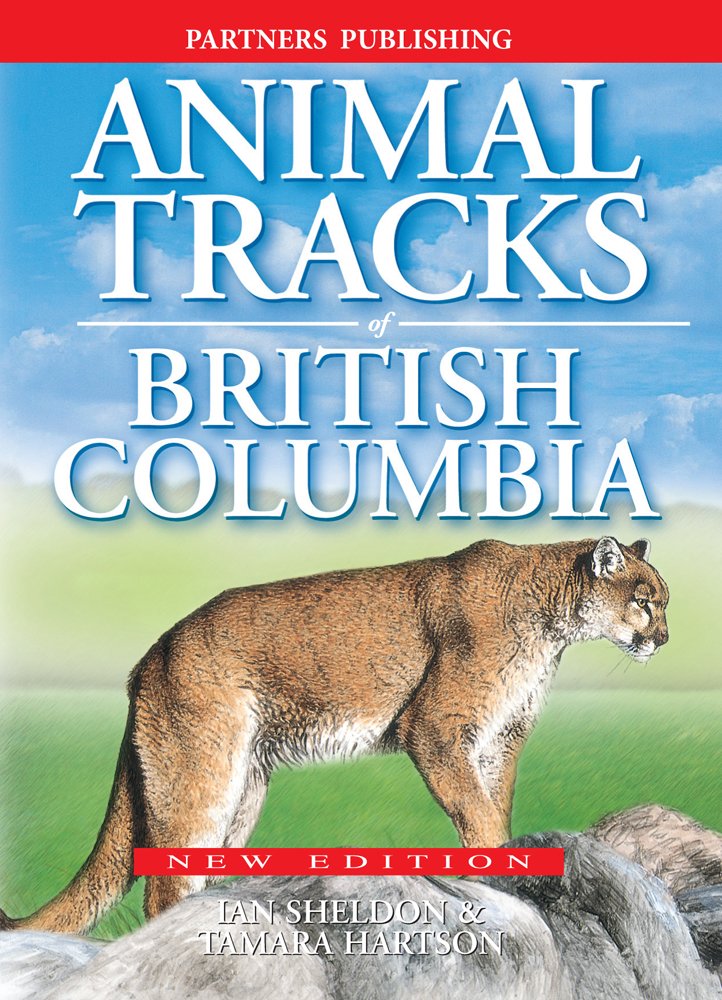Animal Tracks of British Columbia Mathematics