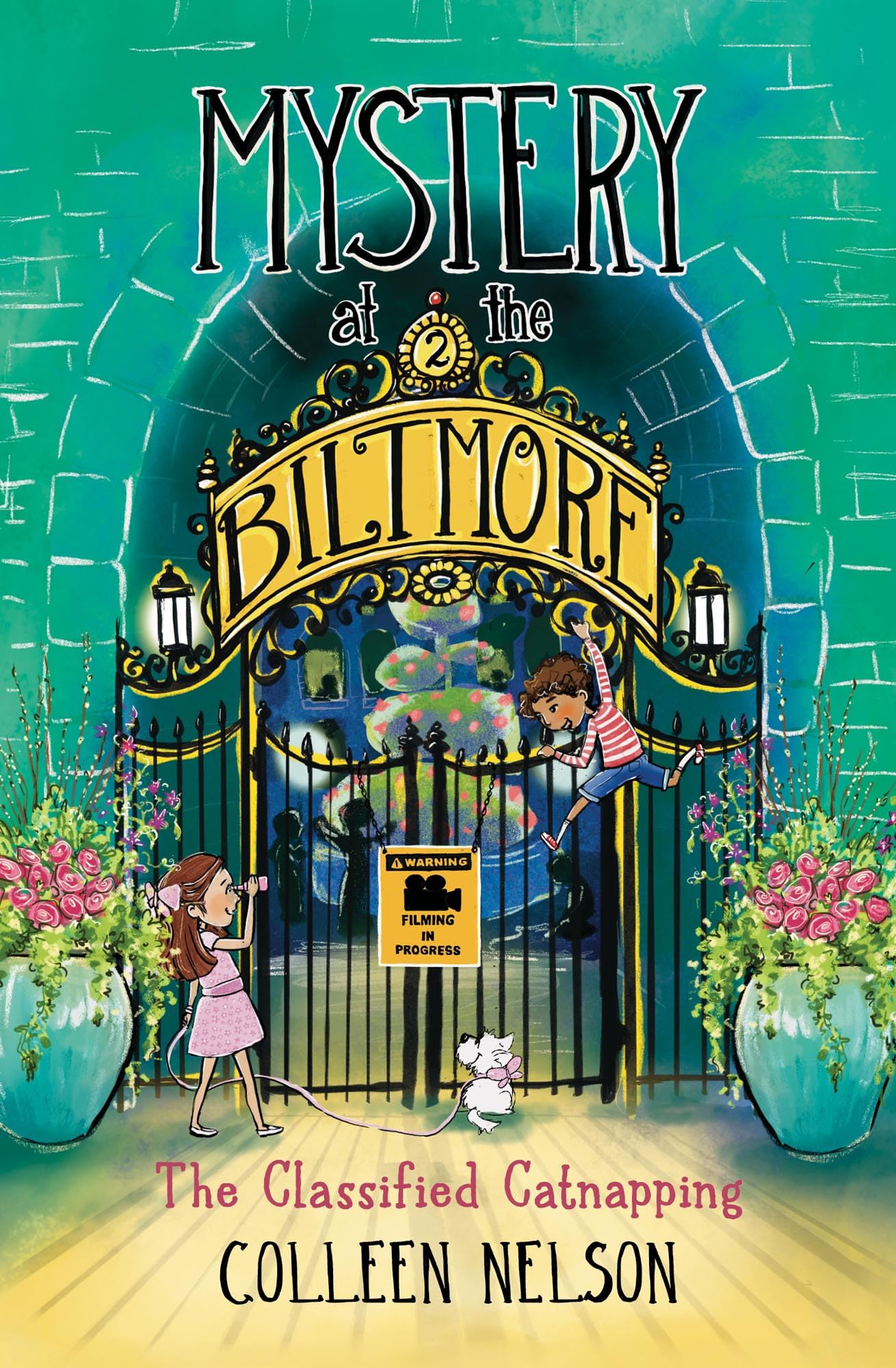 The Classified Catnapping: Mystery at the Biltmore #2 Non-fiction