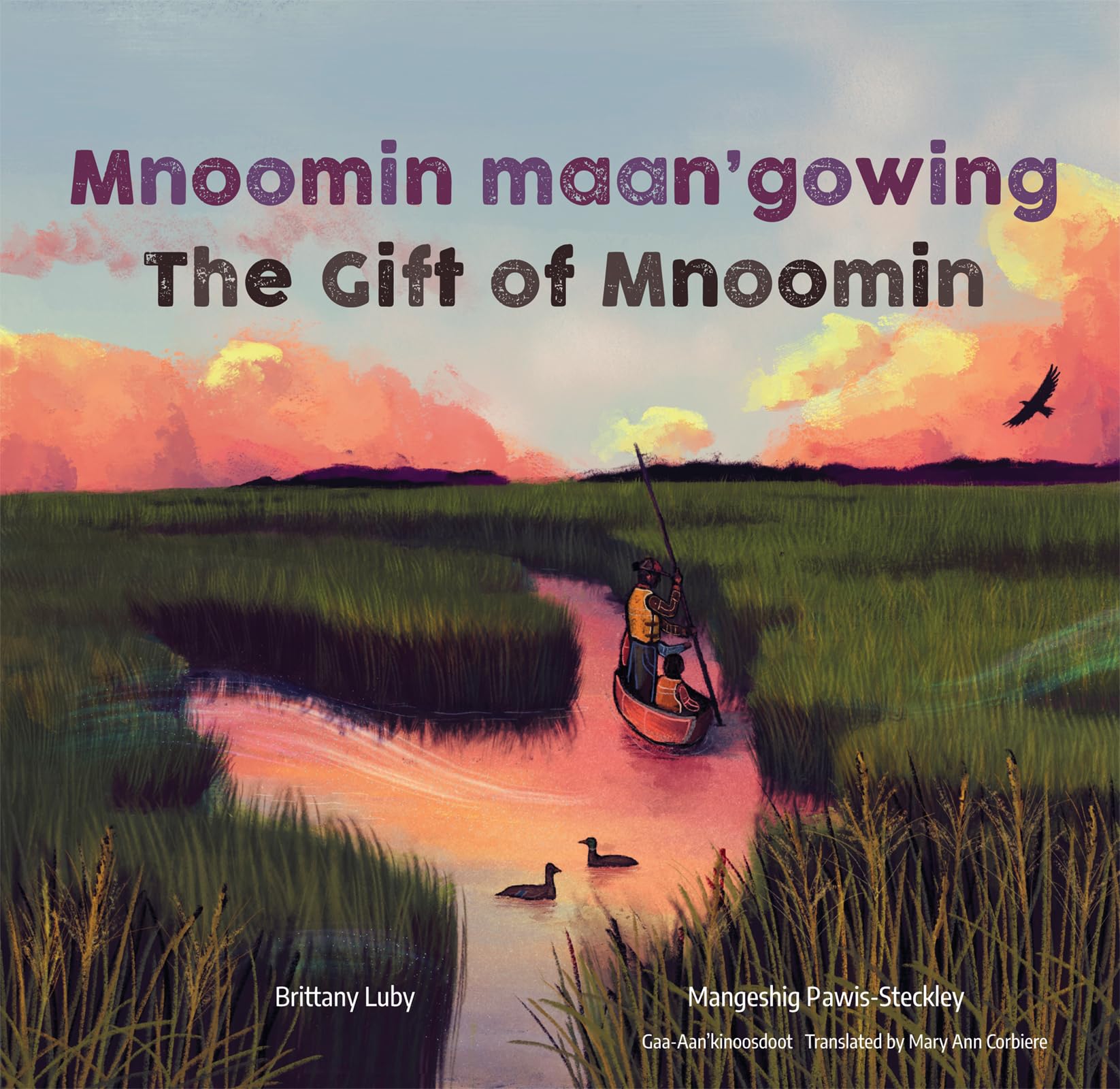 Mnoomin maan'gowing / The Gift of Mnoomin Natural Sciences