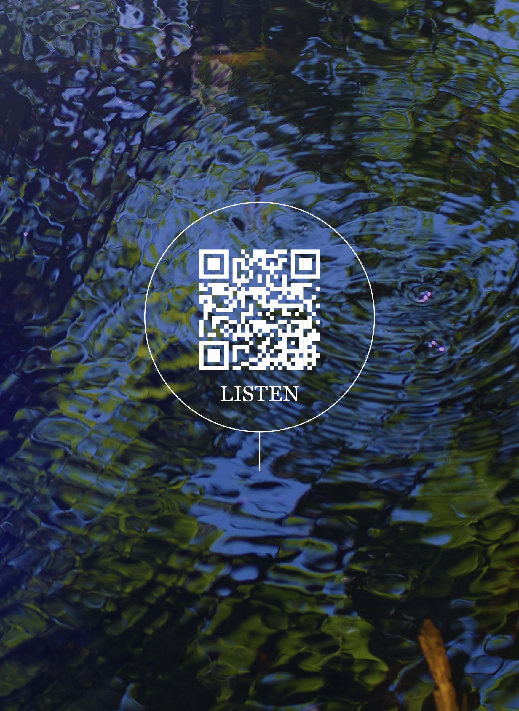 Wetland Project: Explorations in Sound, Ecology and Post-Geographical Art Mathematics