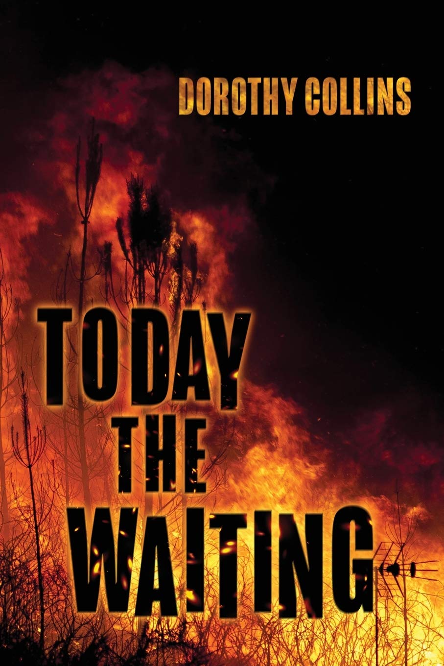Product Image: Today The Waiting