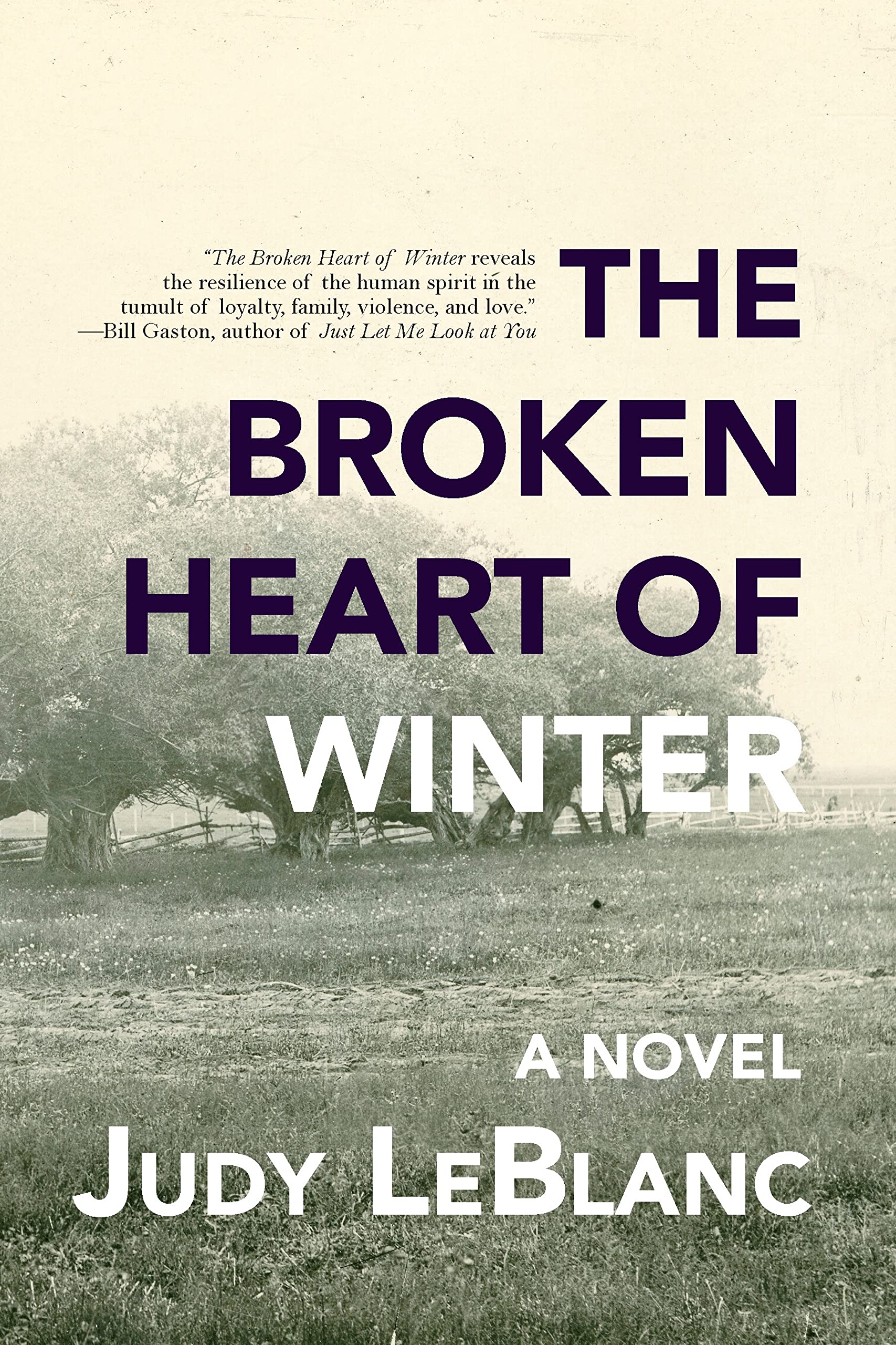 The Broken Heart of Winter Historical Fiction