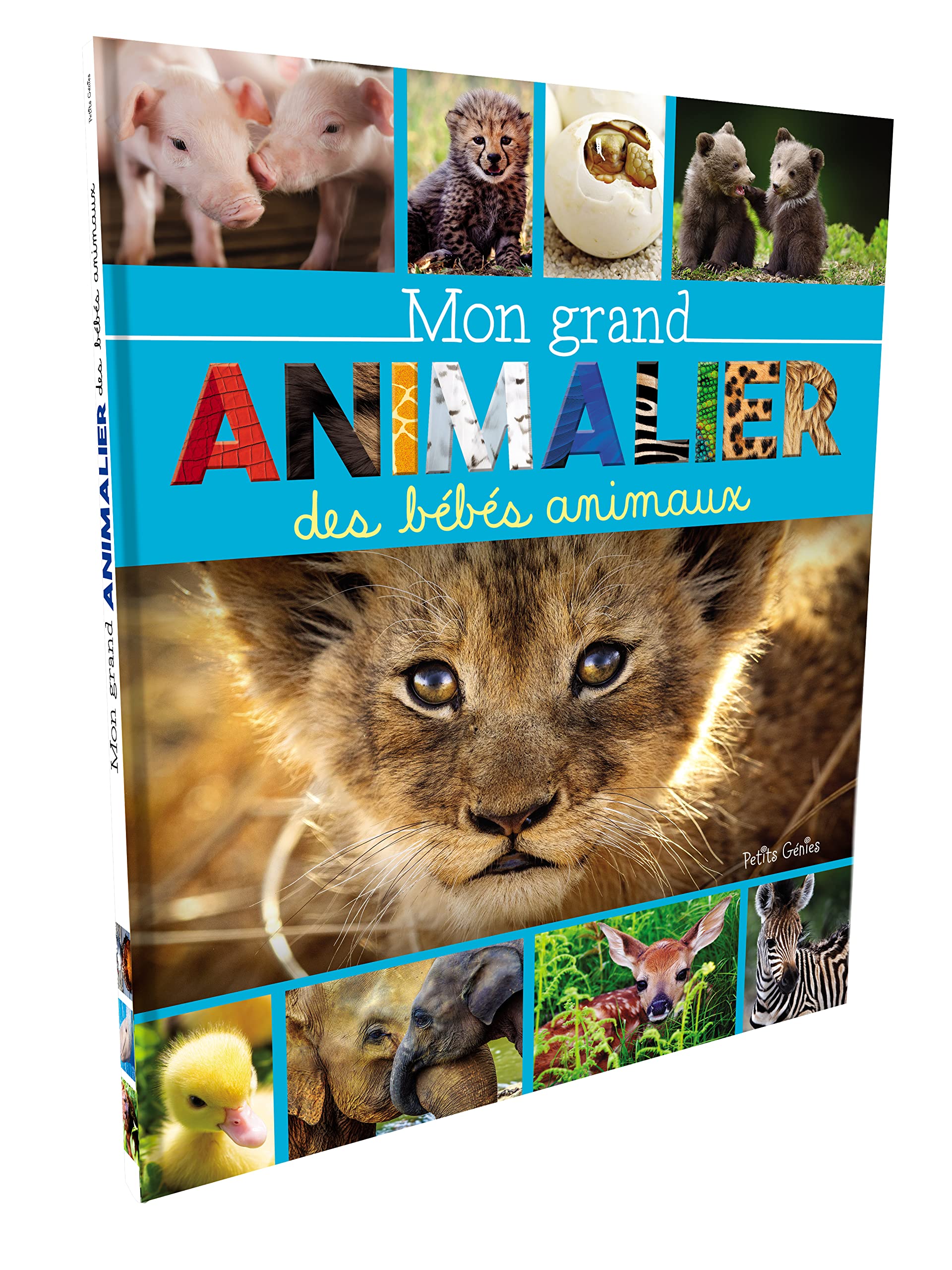 Mon grand animalier des bébés animaux Non-fiction
