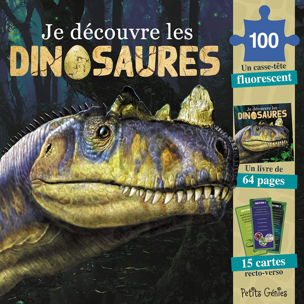 Je découvre les dinosaures book