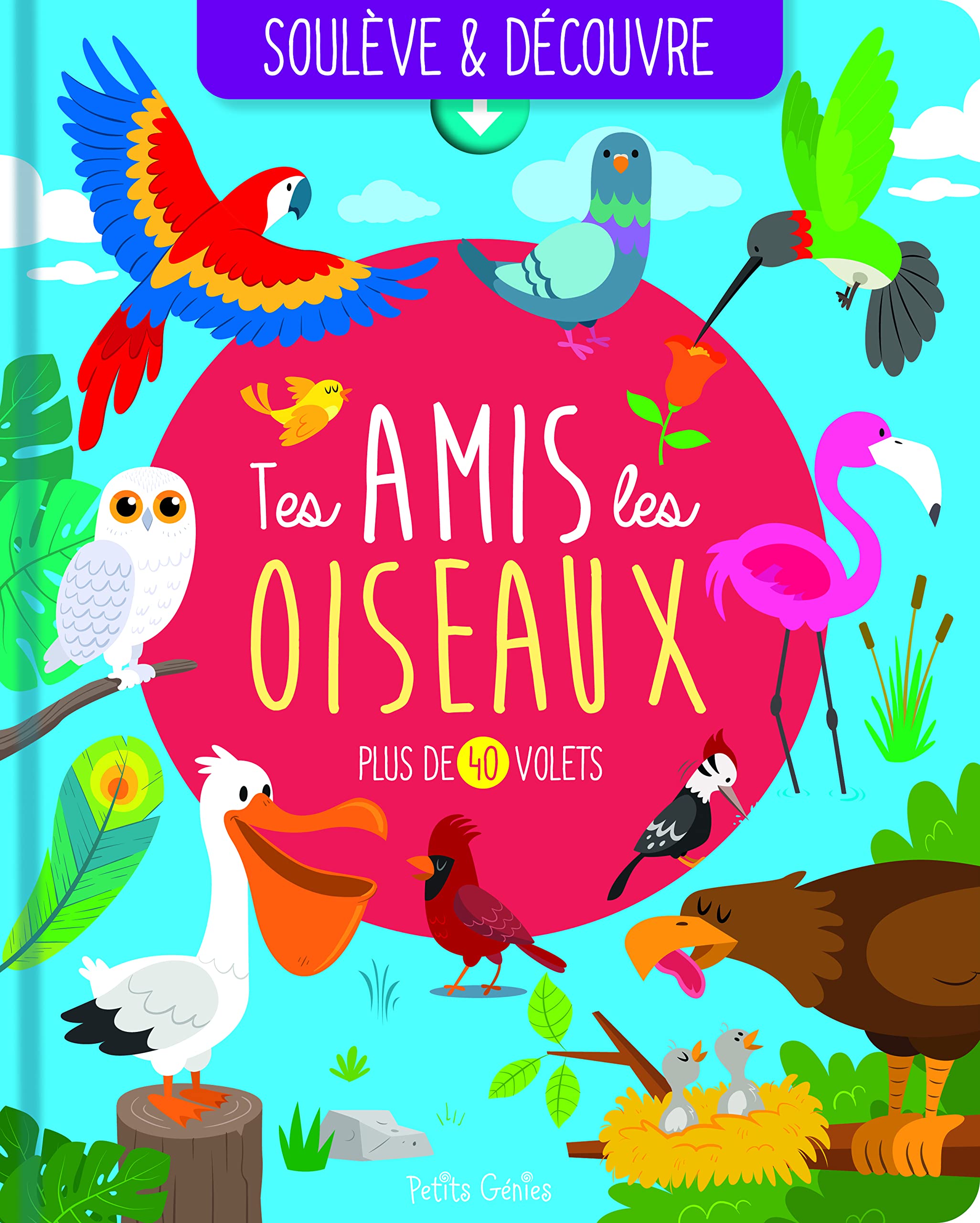 Soulève et découvre - Tes amis les oiseaux: Plus de 40 volets book