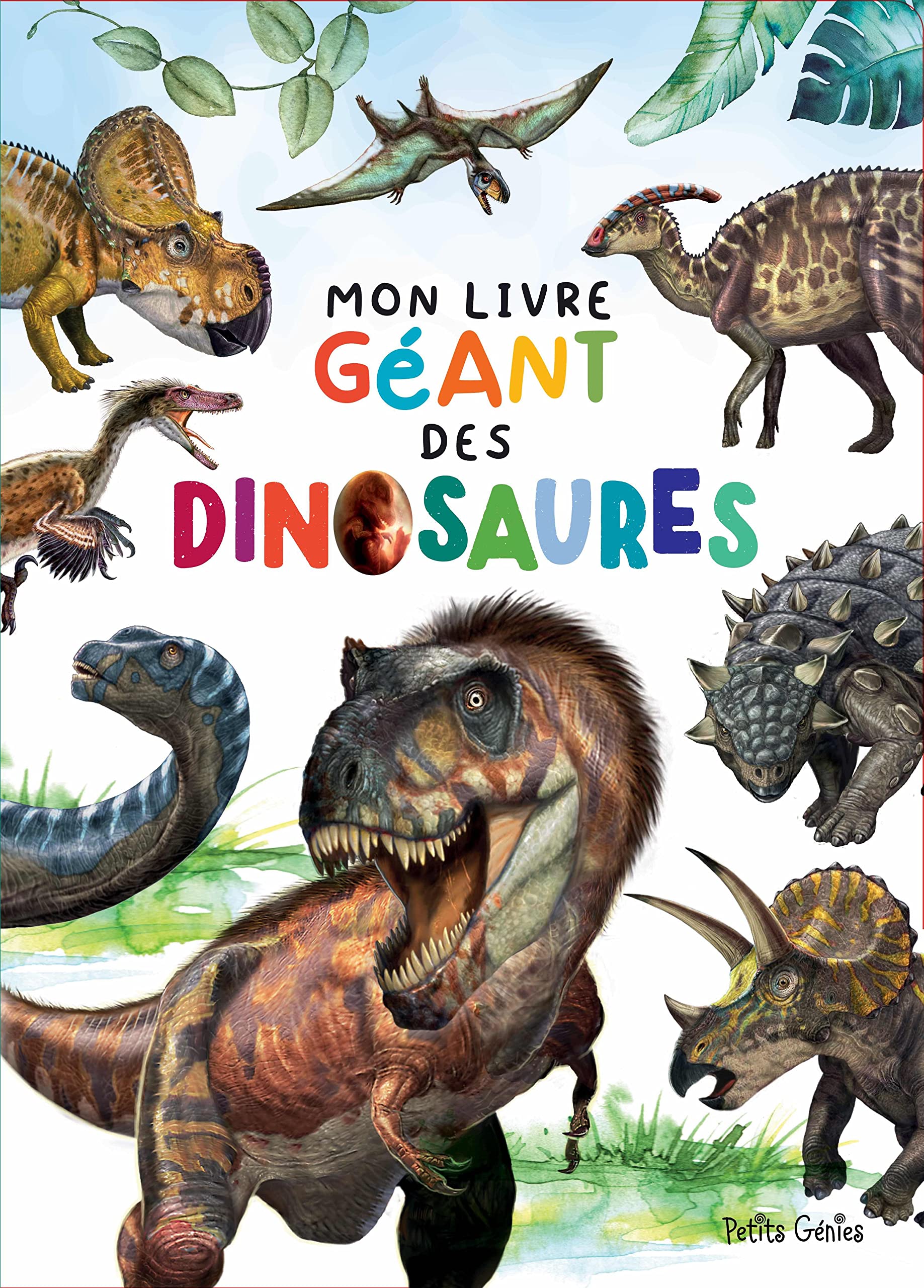 Mon livre géant des dinosaures book