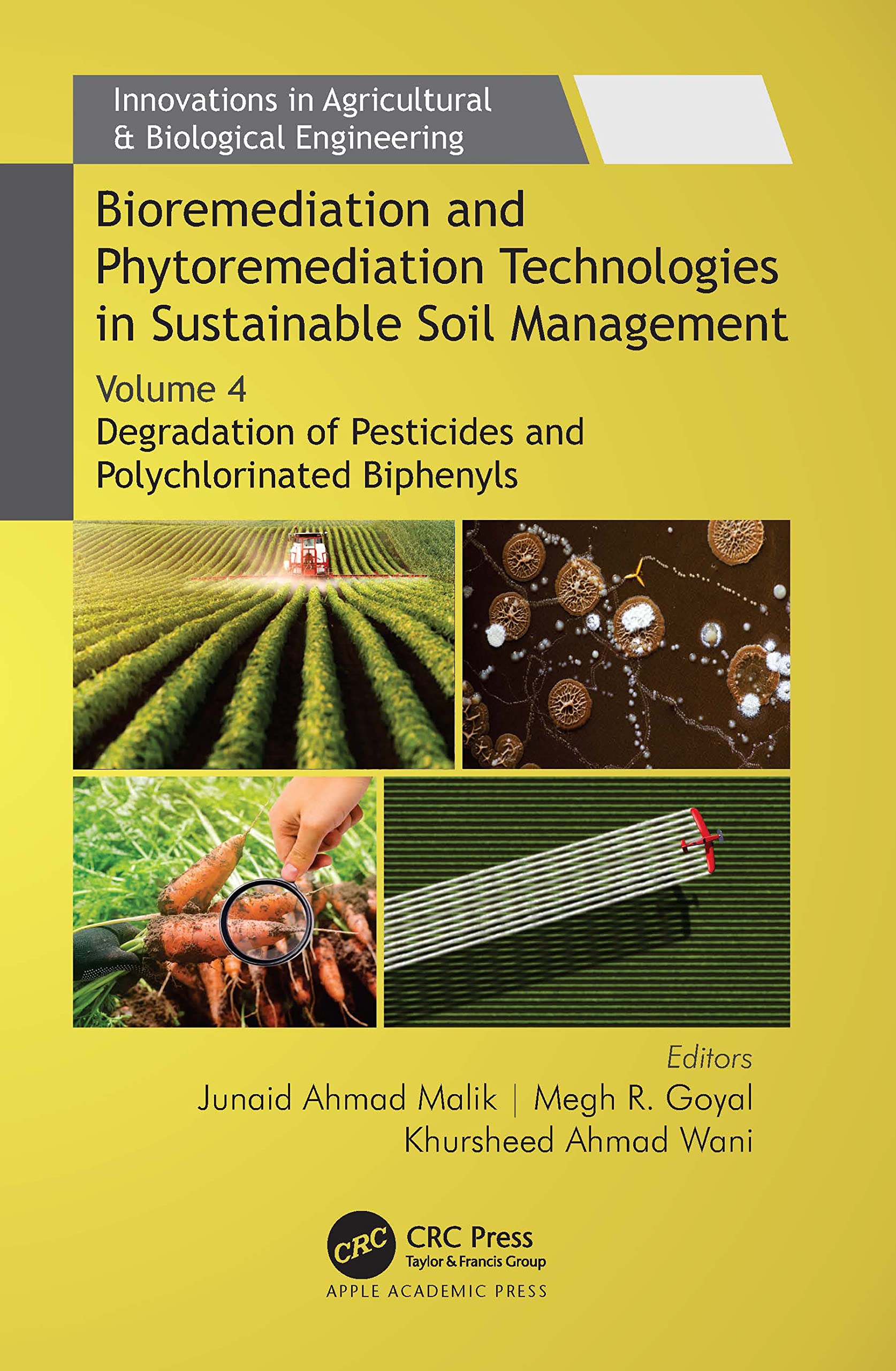 Bioremediation and Phytoremediation Technologies in Sustainable Soil Management Business, Finance & Career