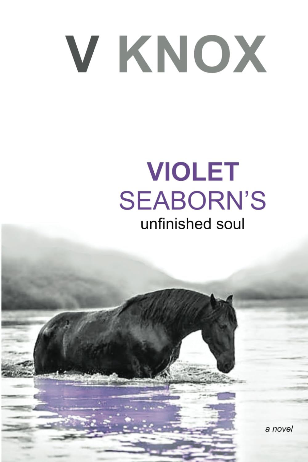 Violet Seaborn's Unfinished Soul Contemporary literature
