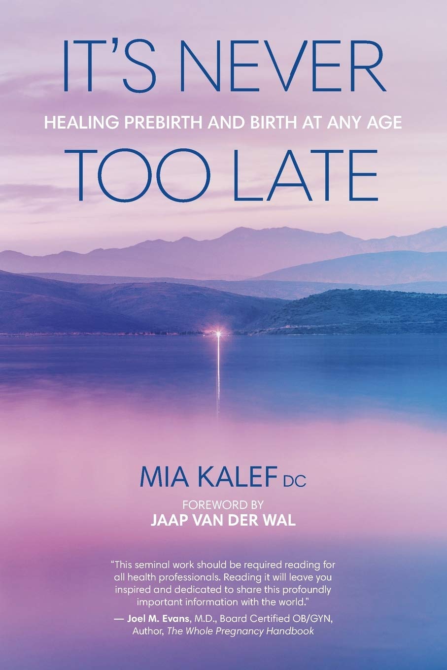 It's Never Too Late: Healing Prebirth And Birth At Any Age Medicine