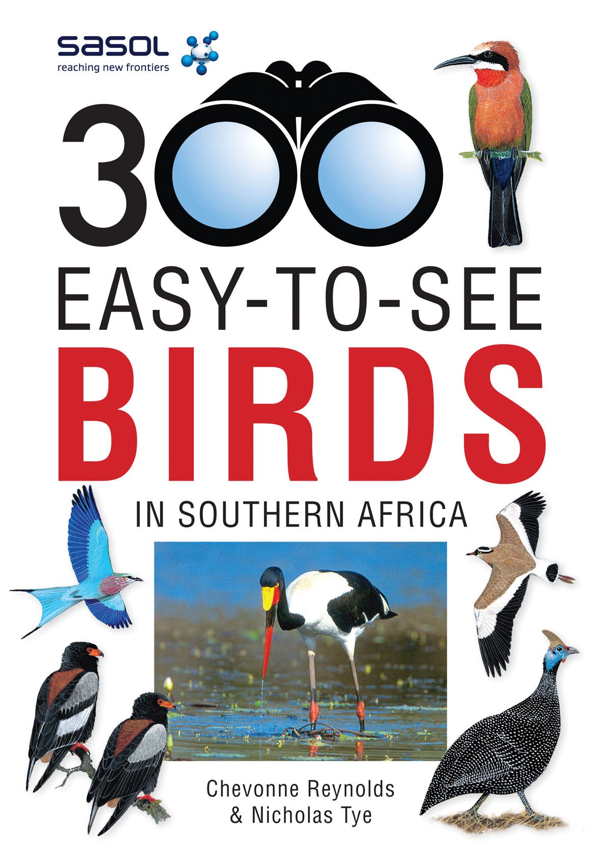 Sasol 300 Easy-To-See Birds in Southern Africa Mathematics