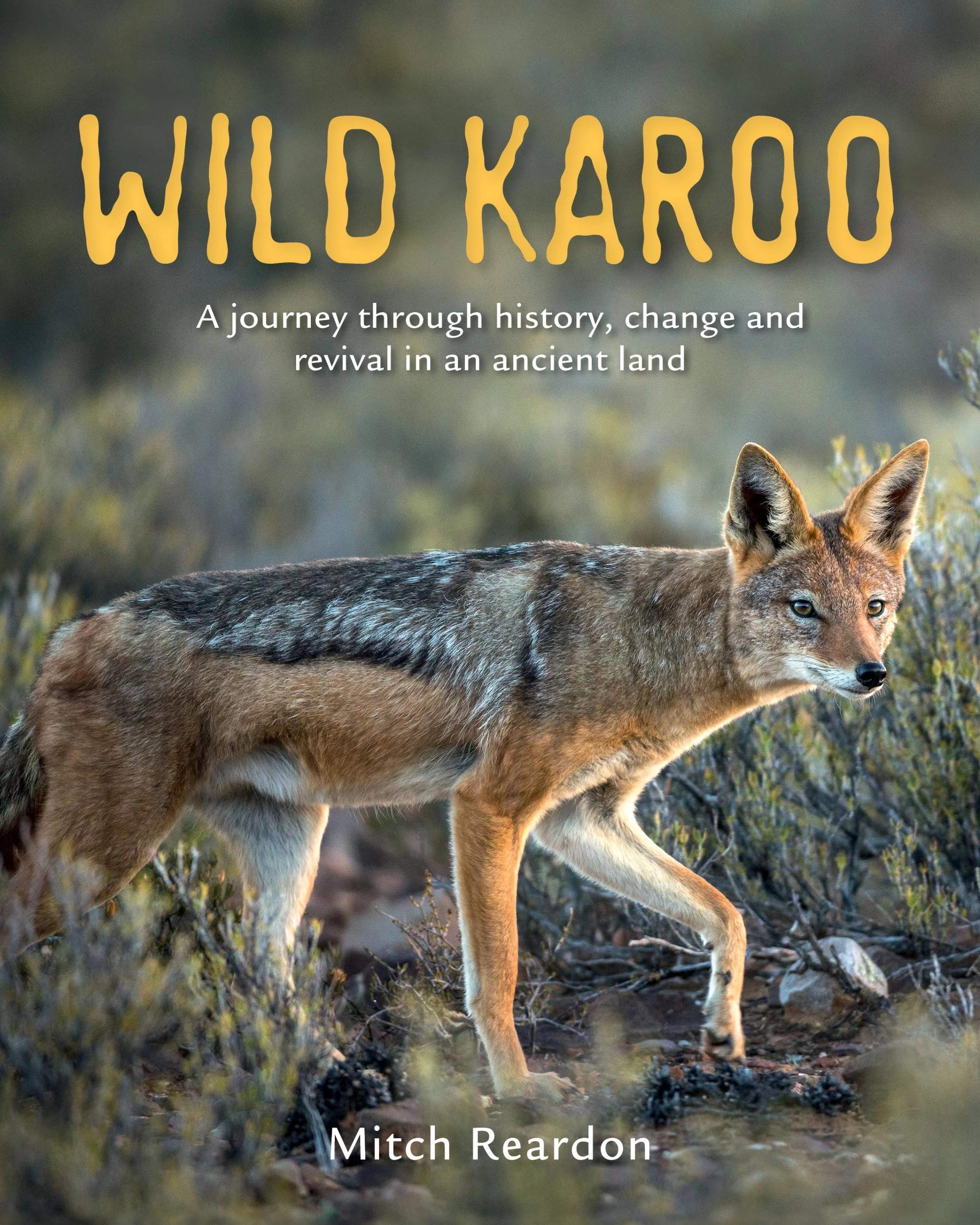 Wild Karoo: A Journey Through History, Change and Revival in an Ancient Land Leisure, Home & Garden