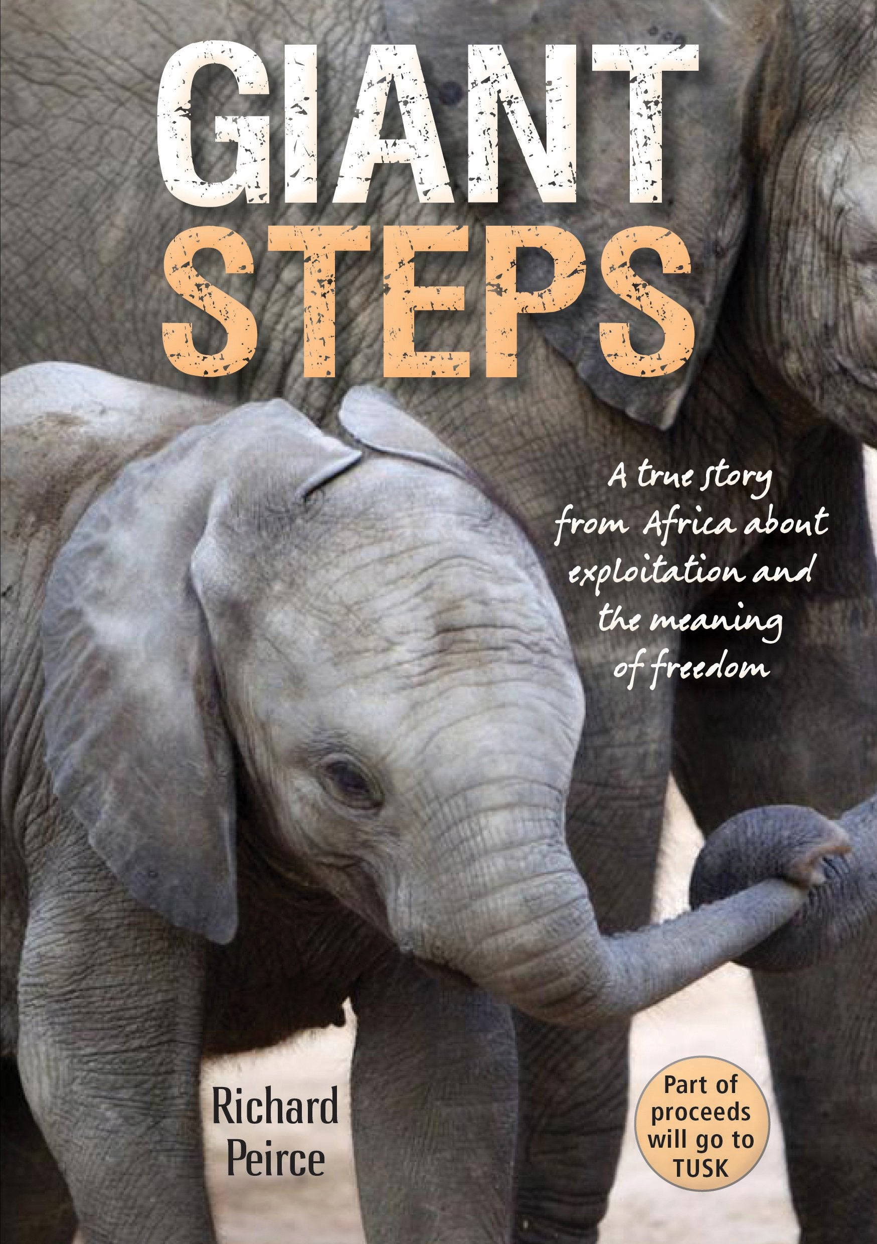 Giant steps: A true story from Africa about exploitation and the meaning of freedom Mathematics