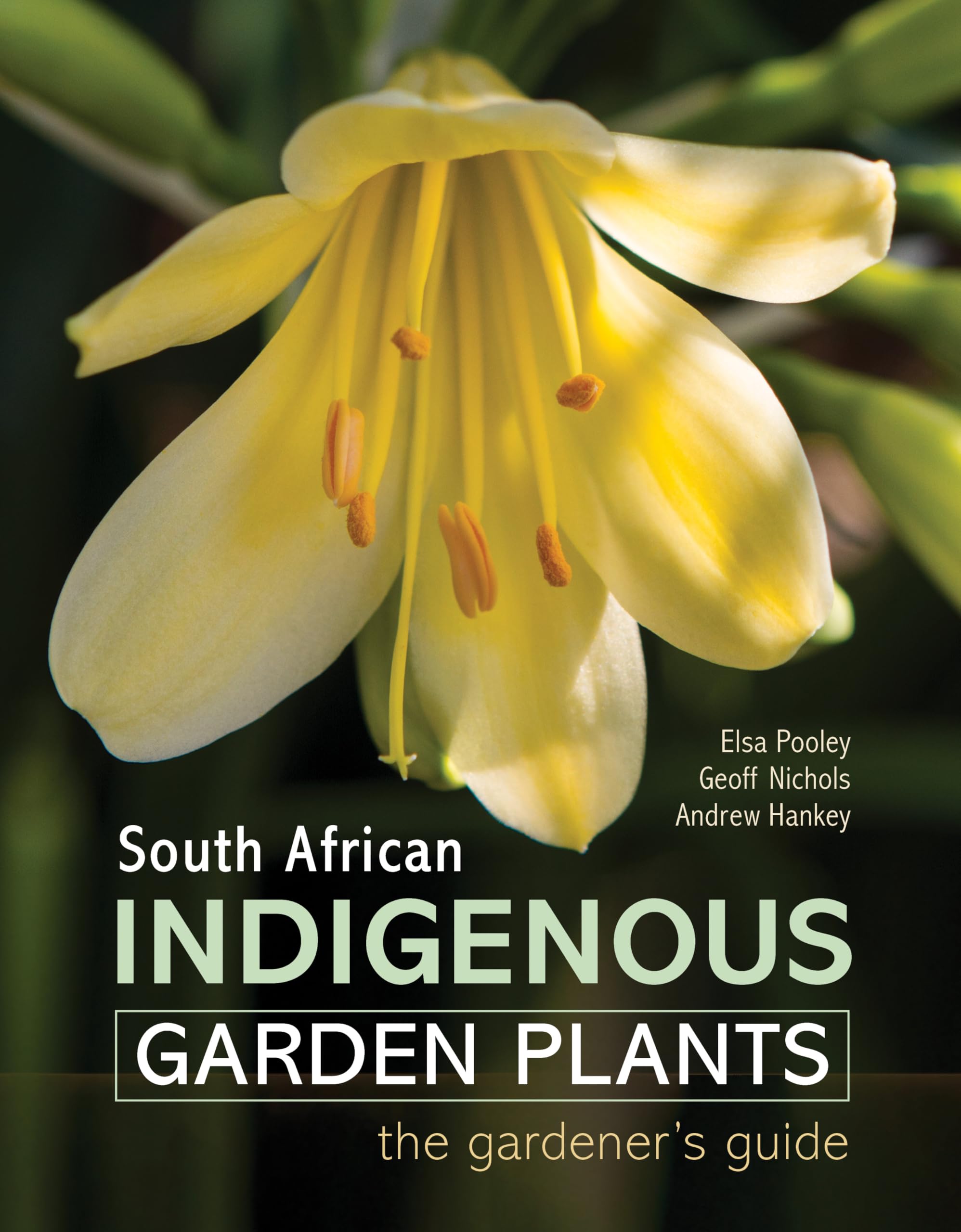 South African Indigenous Garden Plants - The Gardener's Guide Garden & Plants