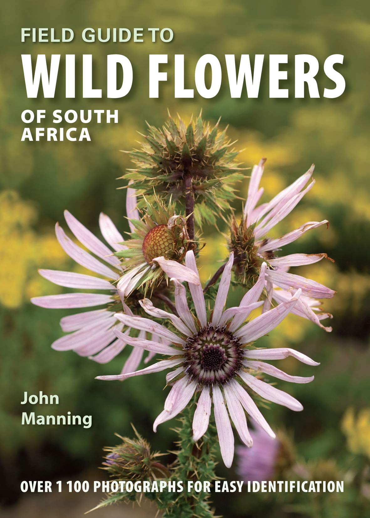 Field Guide to Wild Flowers of South Africa: Also Includes Lesotho and Swaziland (Field Guides) Mathematics
